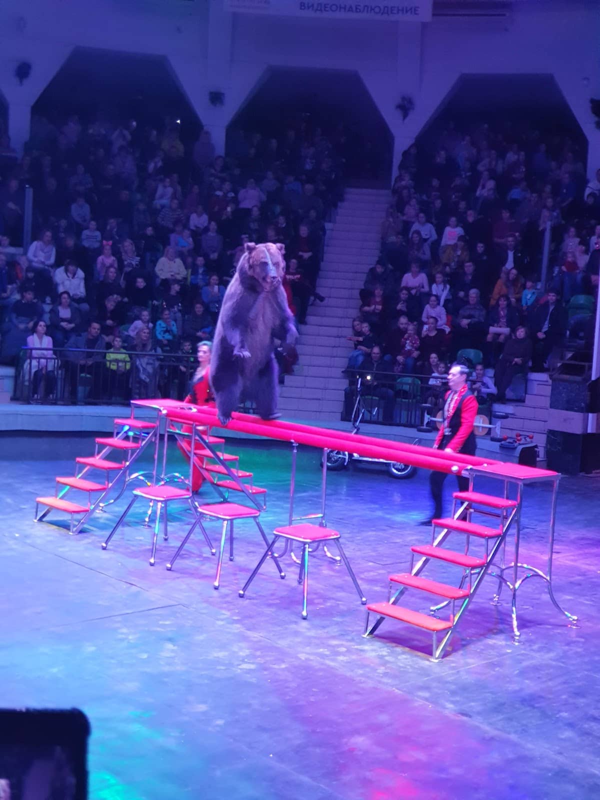 Seamless Show Flow