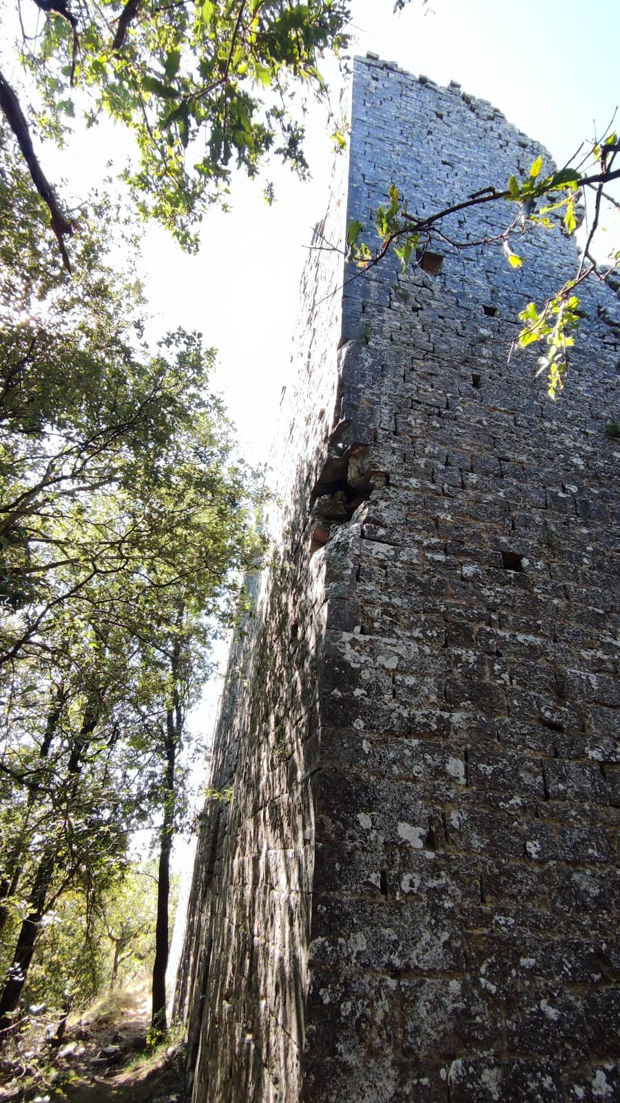 Vertical photo