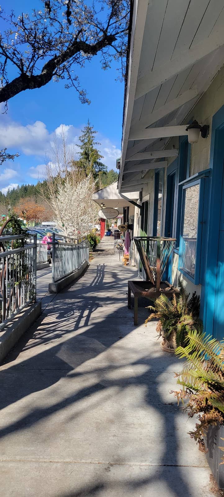 Scenic Redwood Forests