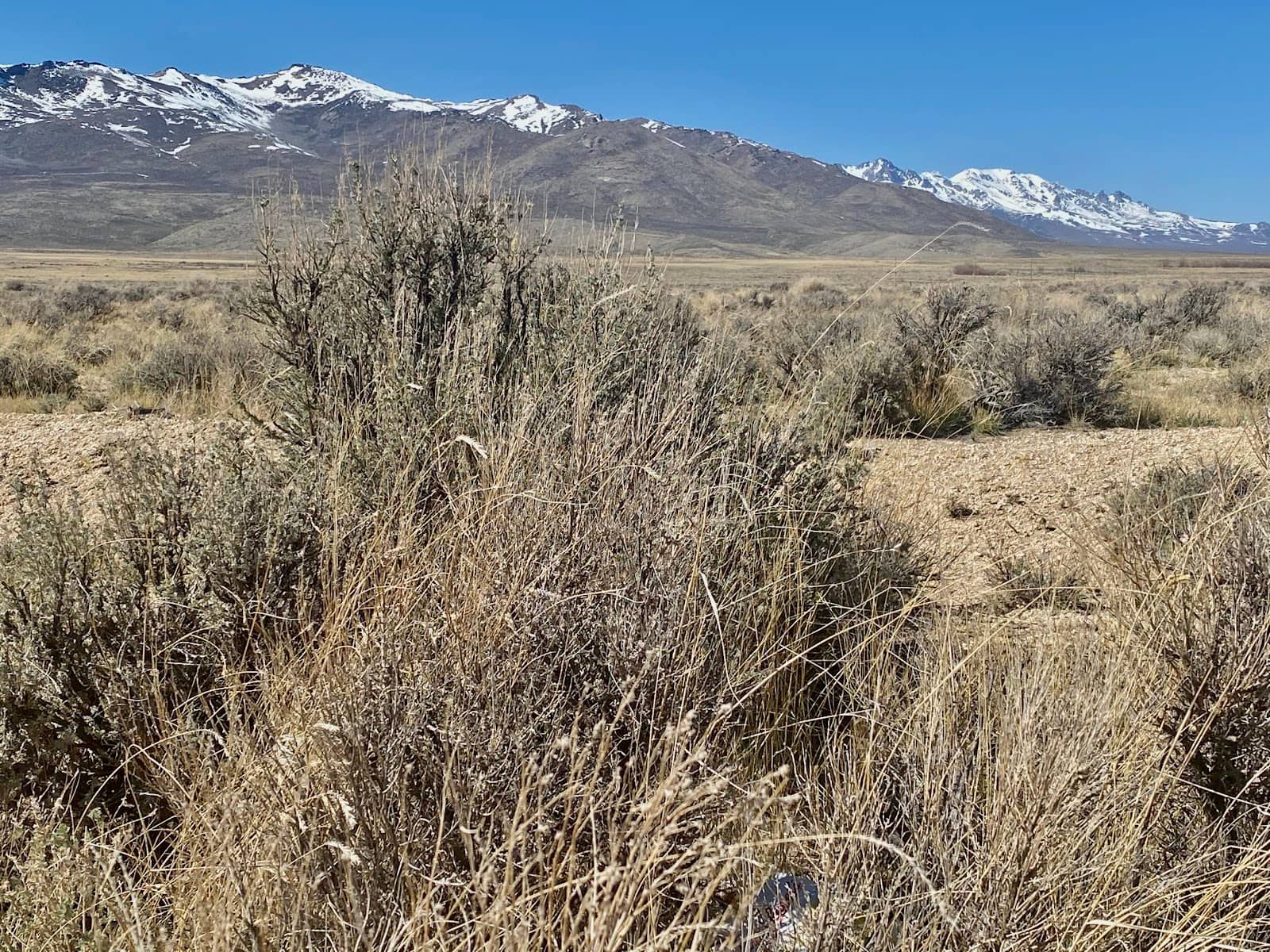 Diverse Trail Terrain