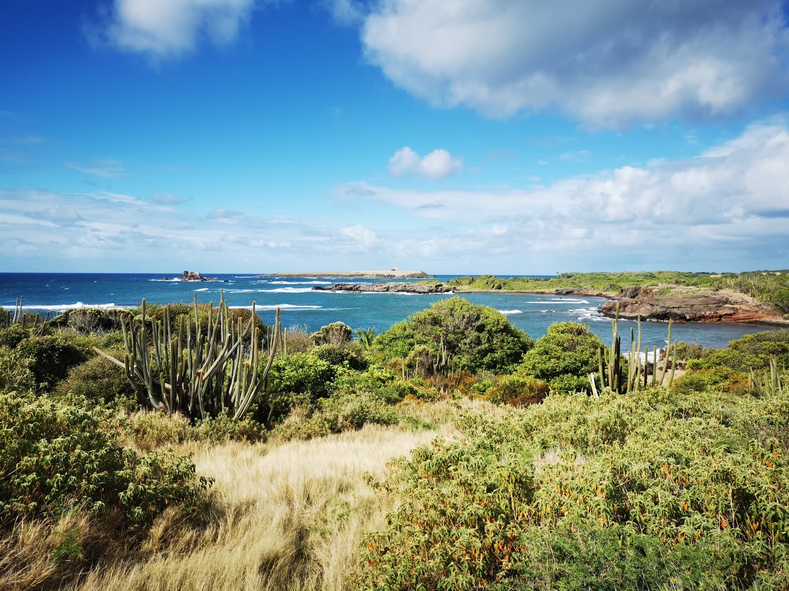 Savane des Pétrifications - Image 1