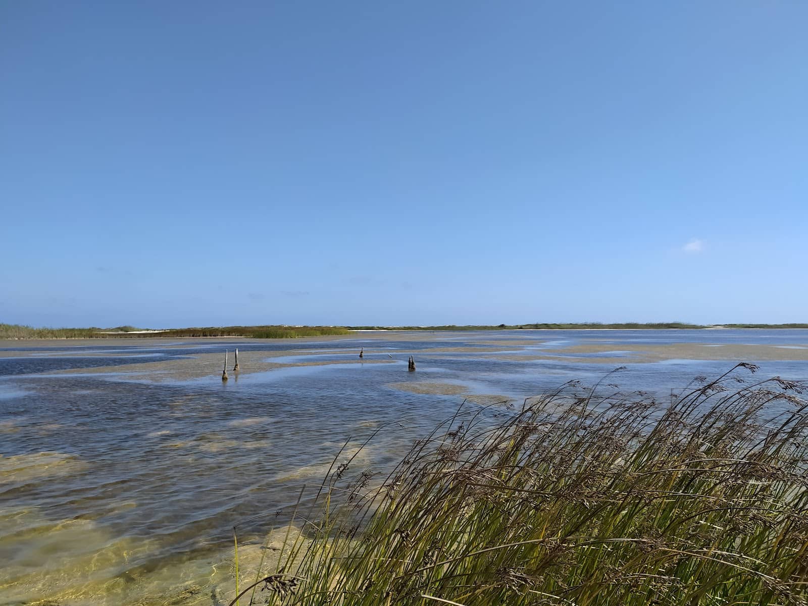 Evocative Evening Performances