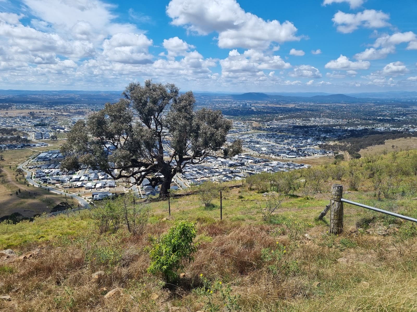 One Tree Hill Lookout - Image 1