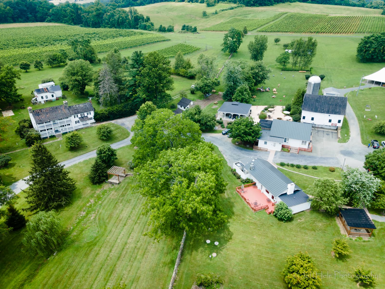 868 Estate Vineyards - Image 1