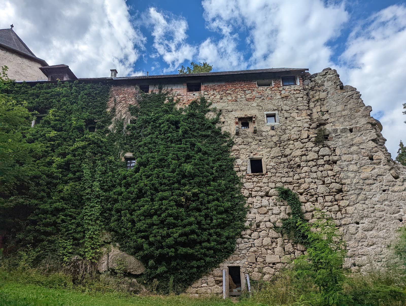 Vertical photo