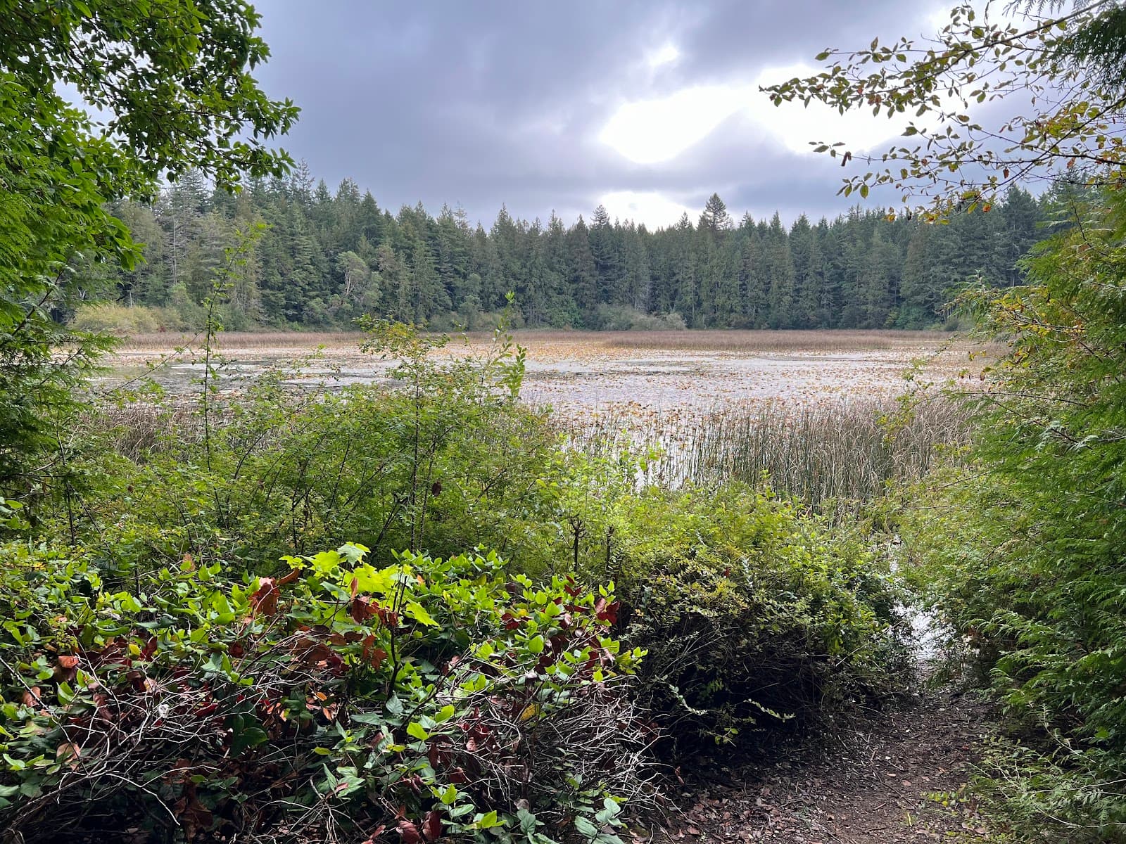 Gazzam Lake Nature Preserve - Image 1