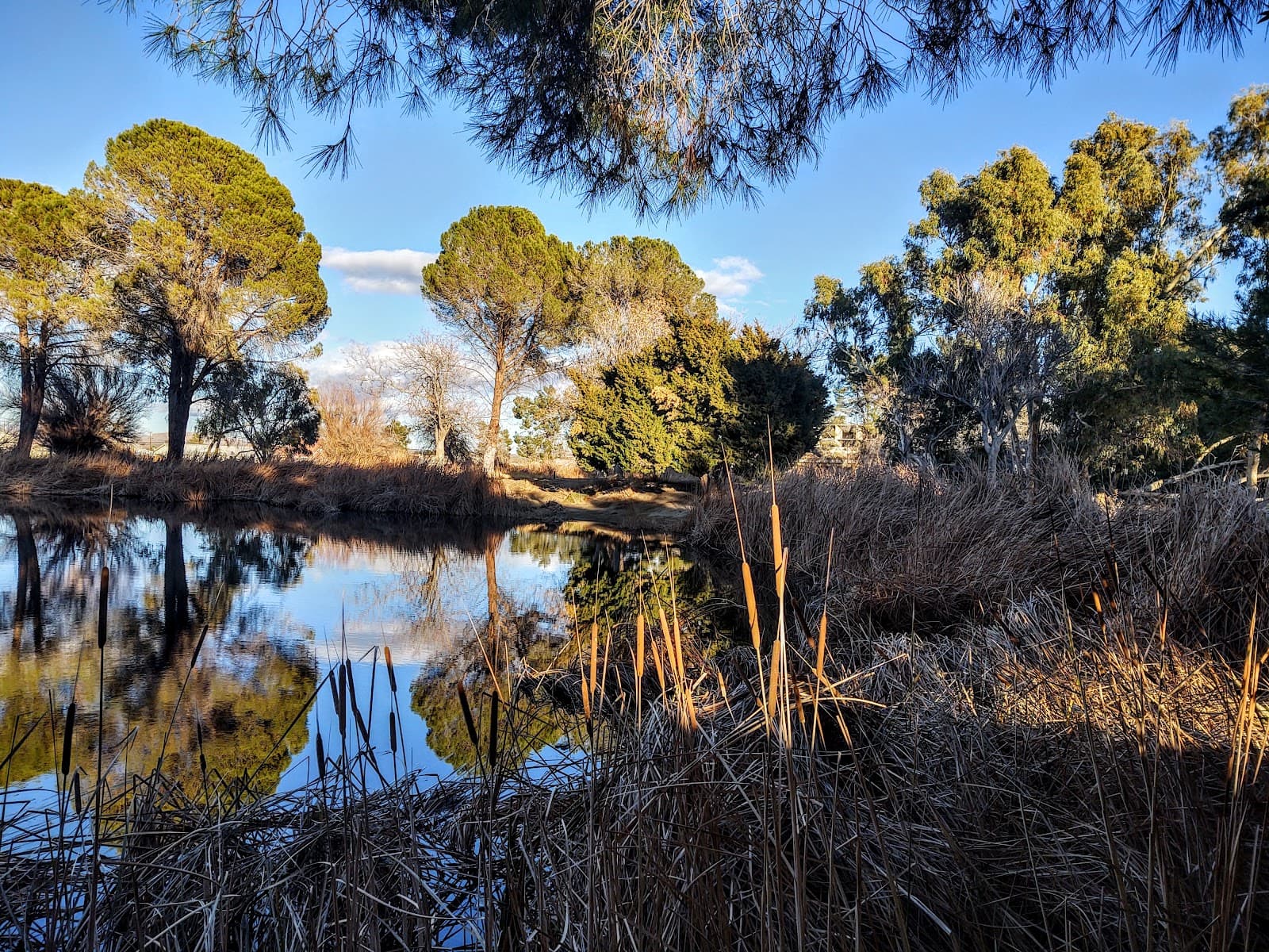 Central Park Lake California City - Image 1