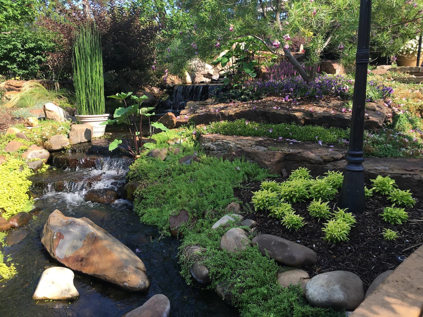 Linnaeus Teaching Garden - Image 1