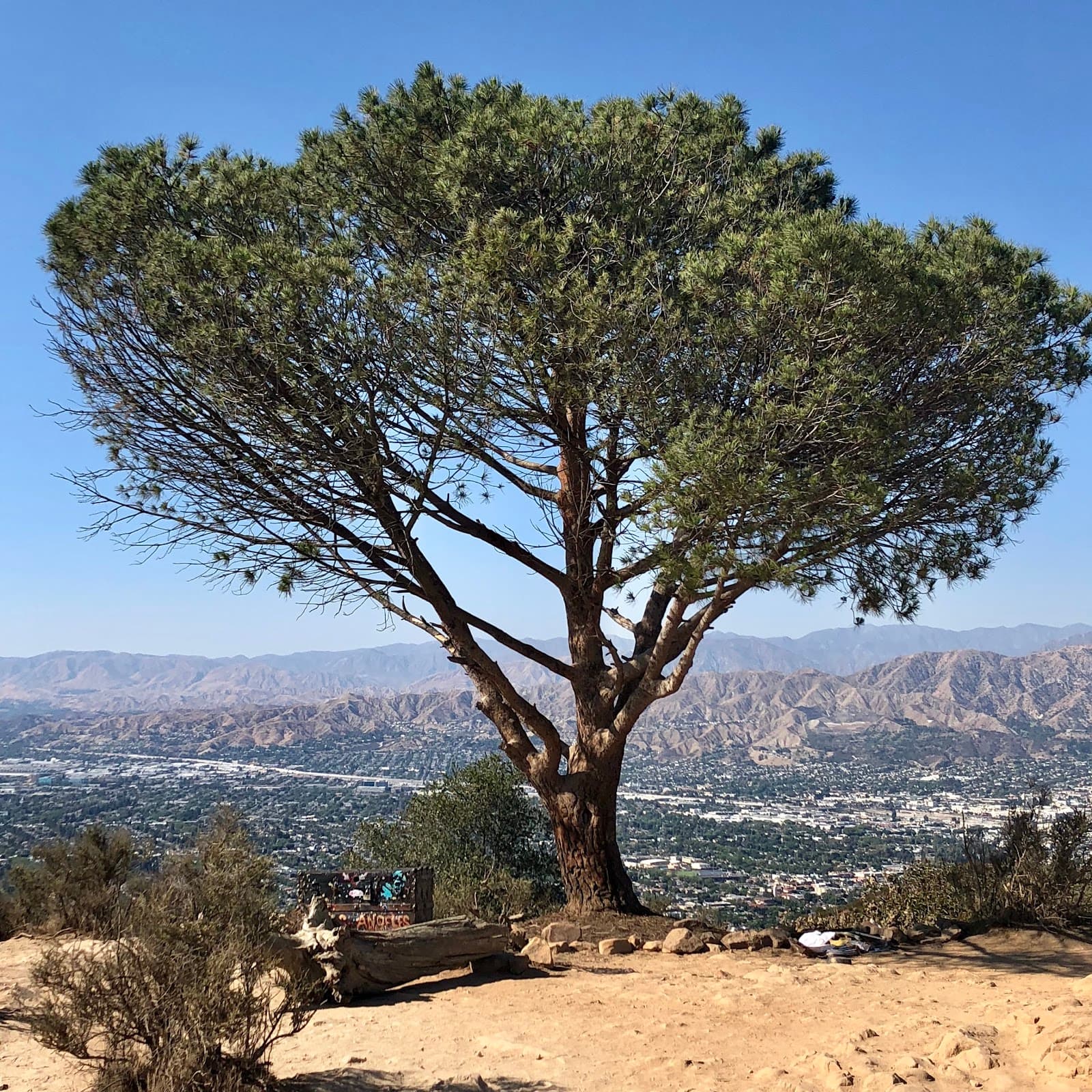 Burbank Peak Trail - Image 1