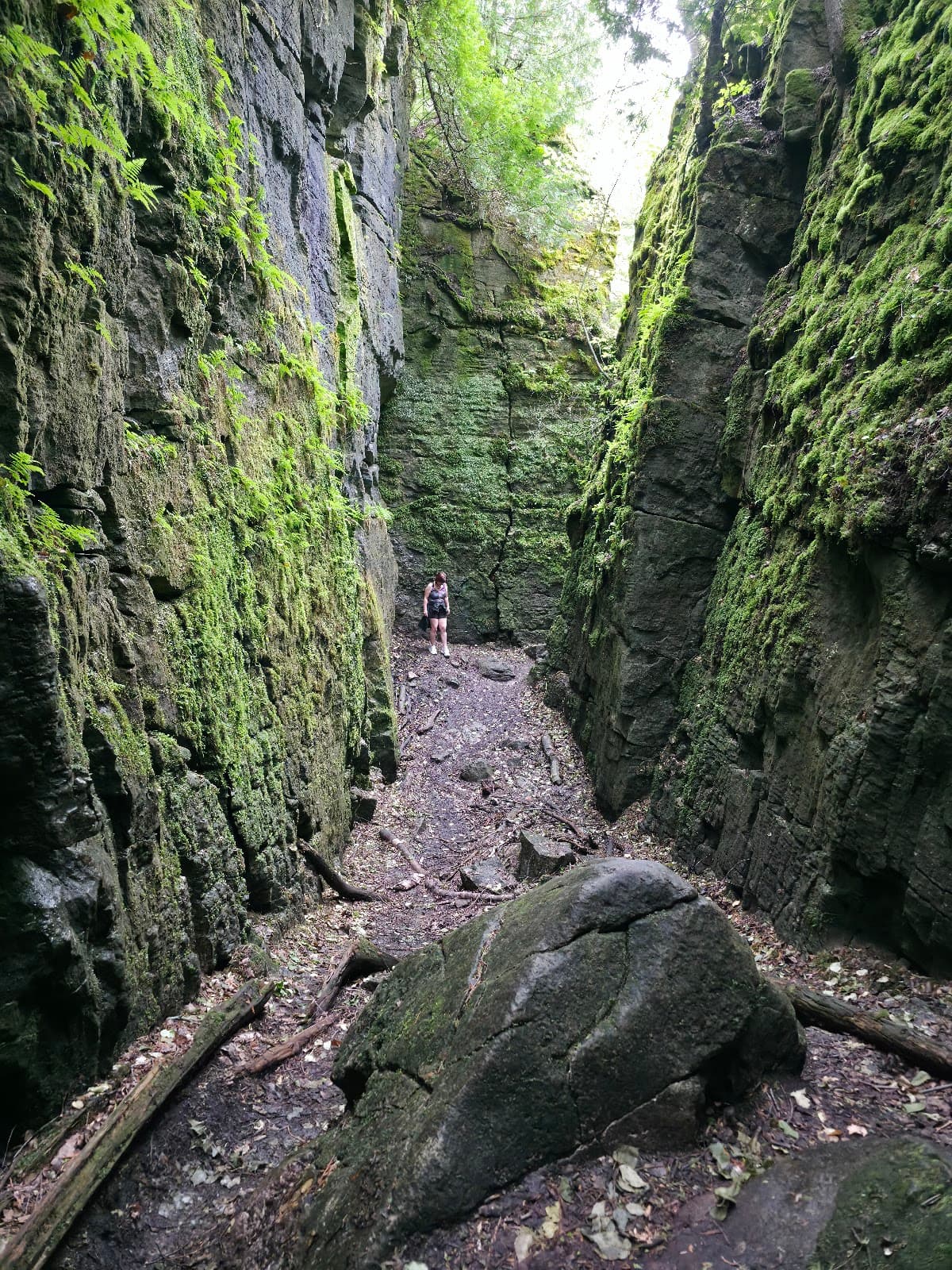 Nottawasaga Lookout Nature Reserve - Image 1