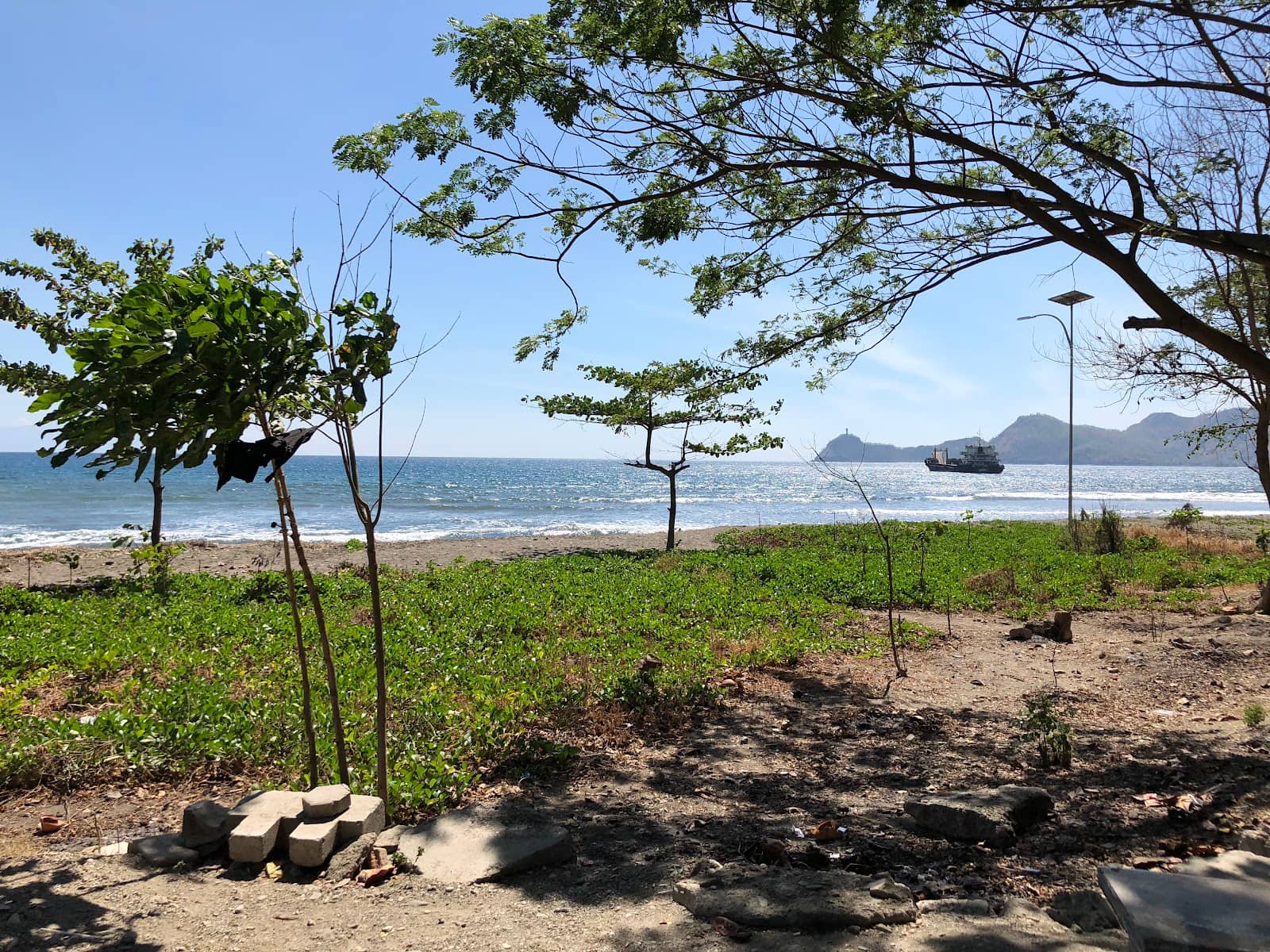 Local Life Observation