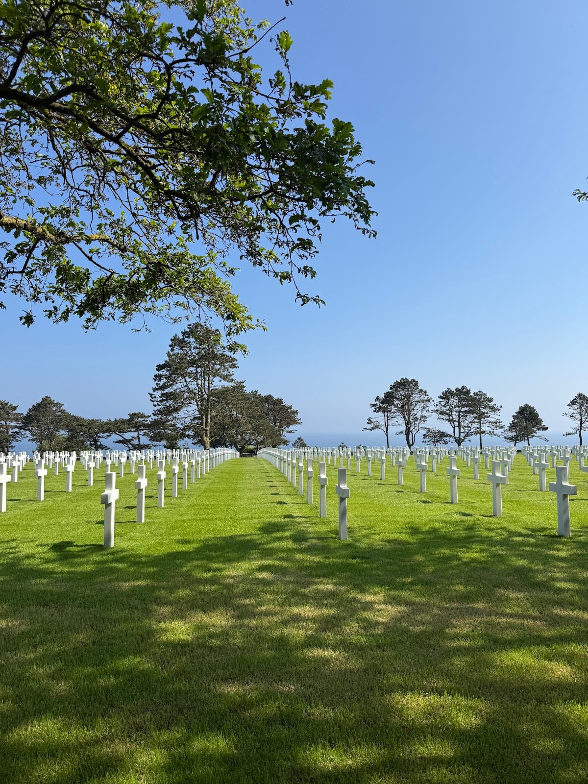 Gold Beach - Image 1