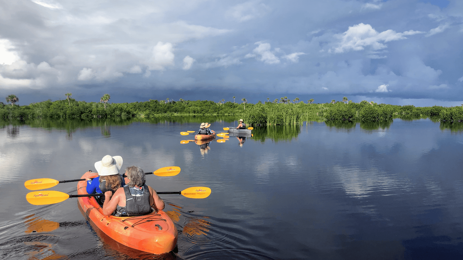 Abundant Wildlife Encounters