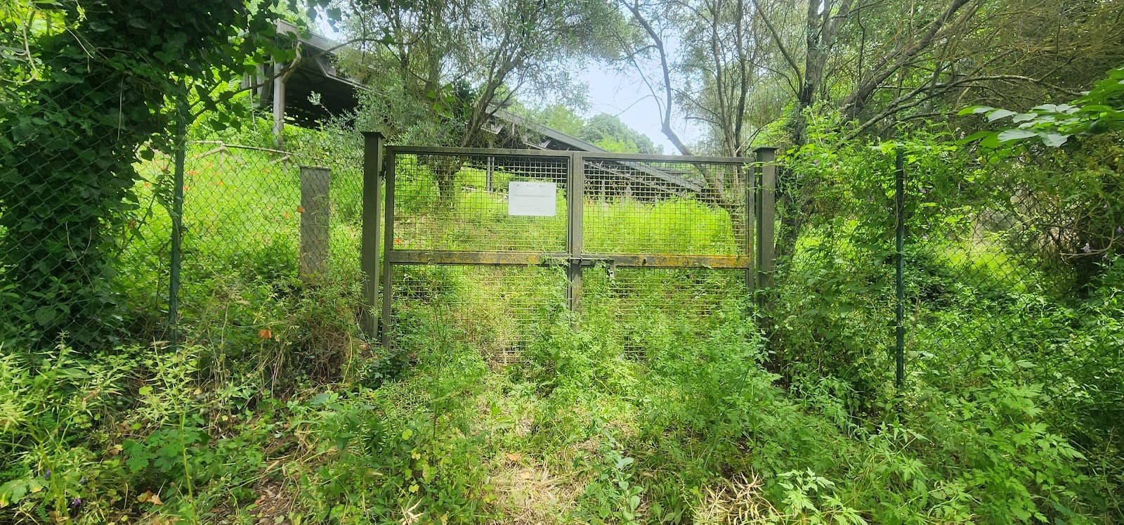 Cannicella Necropolis - Image 1