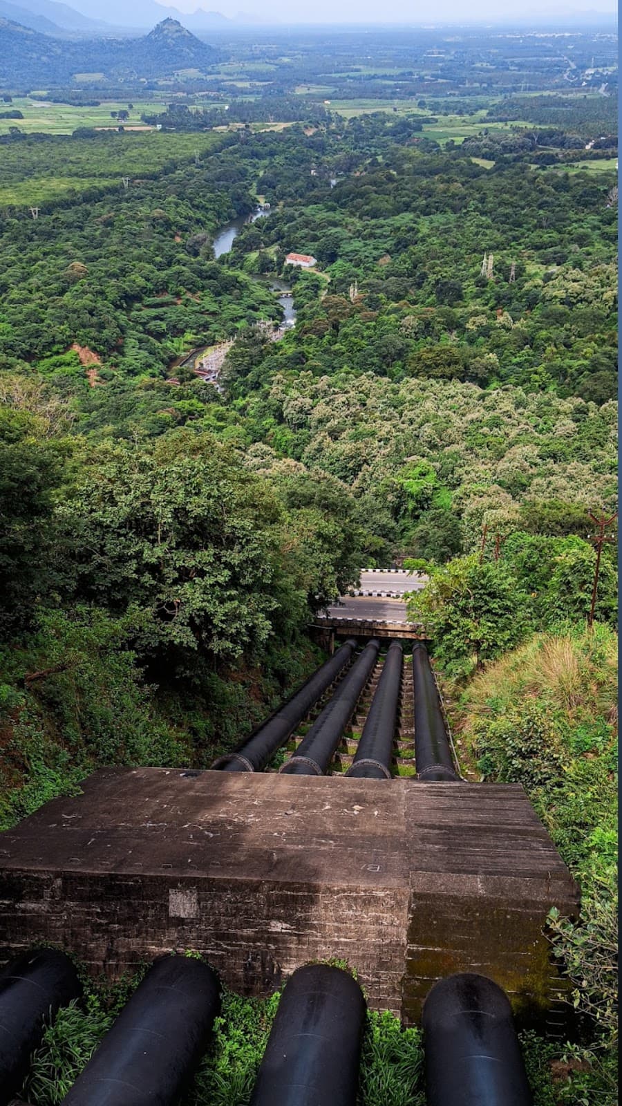 Thekkady - Image 1