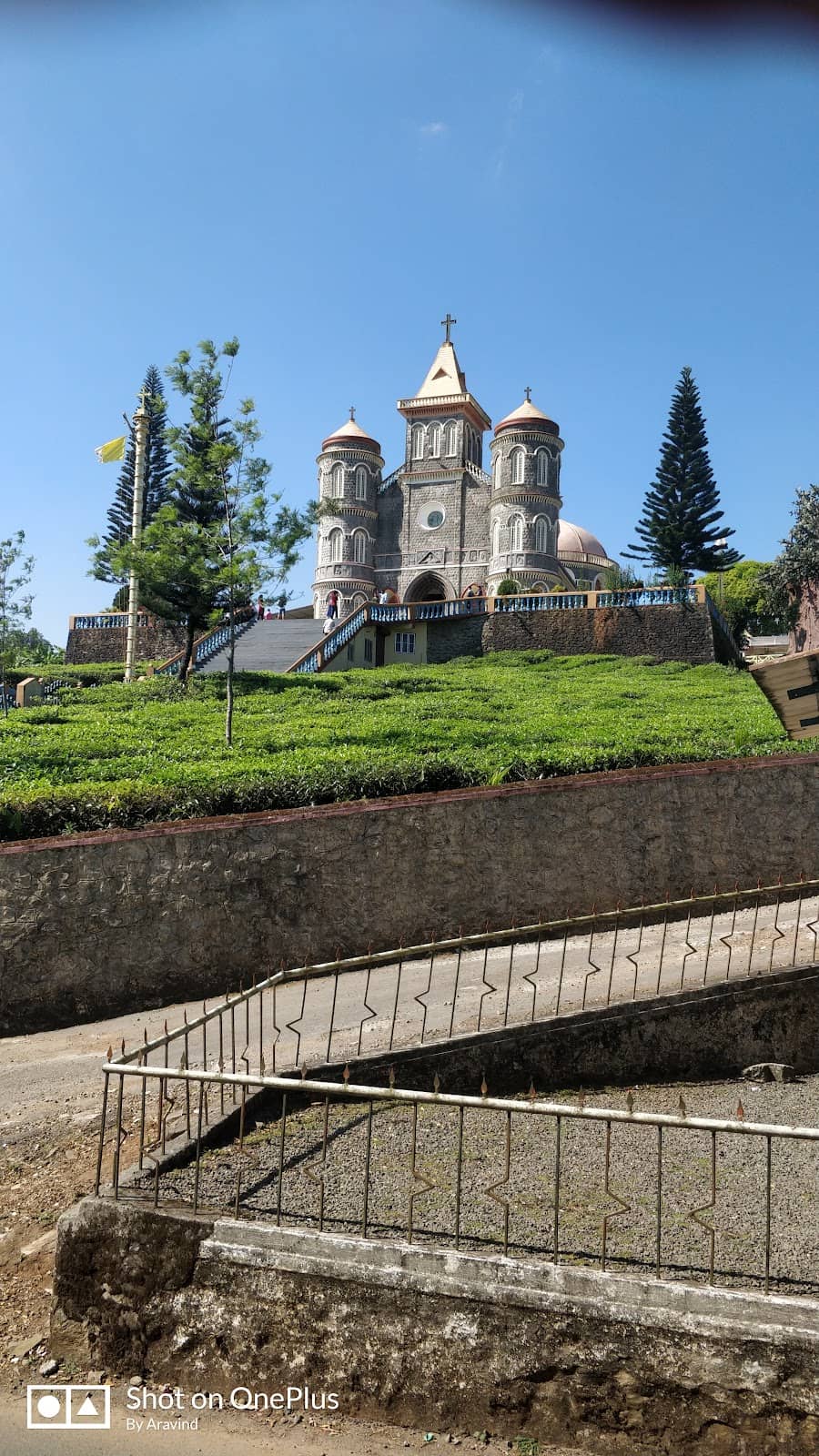 Vertical photo