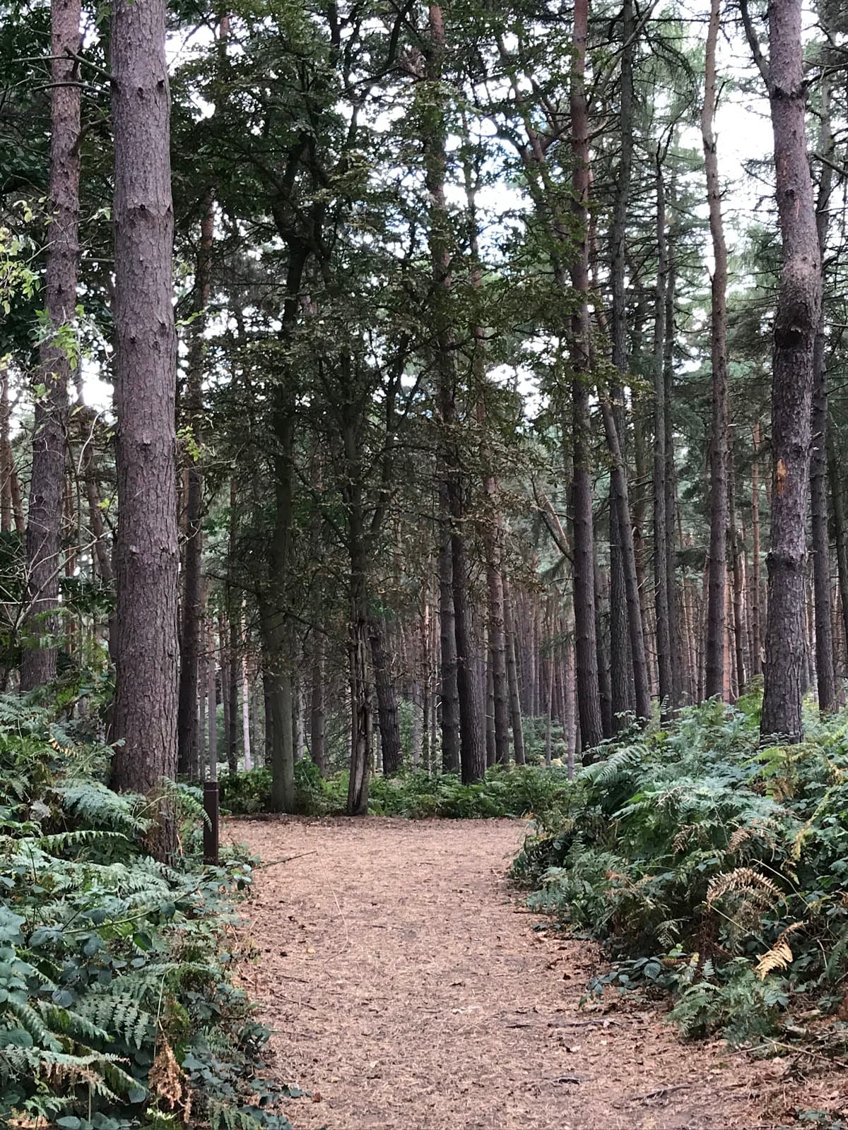 Stockgrove Country Park - Image 1