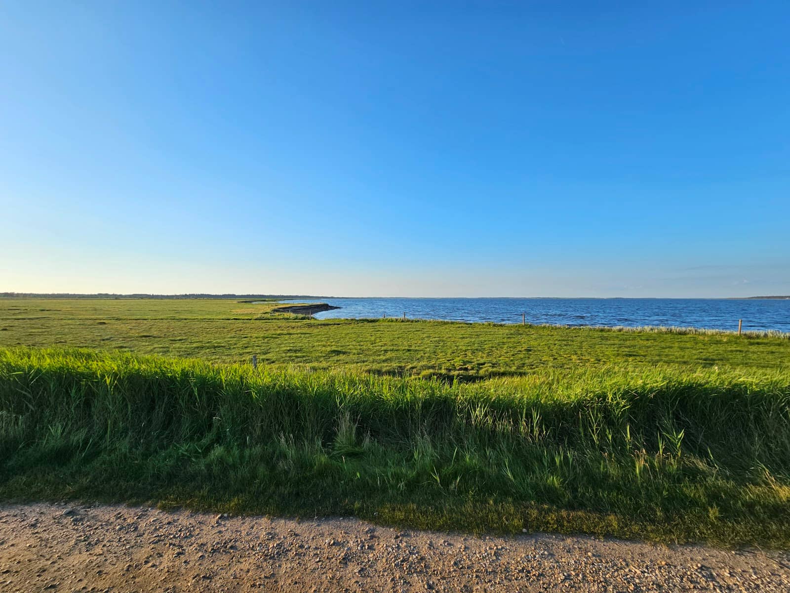 Forest and Coastal Strolls
