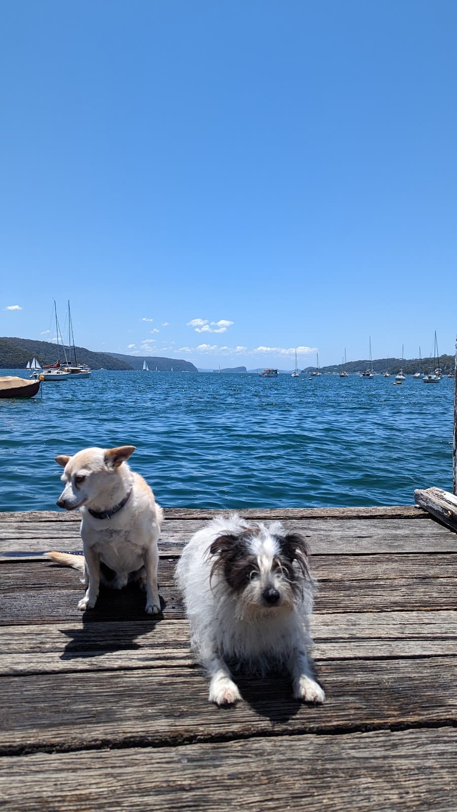 Clareville Beach - Image 1