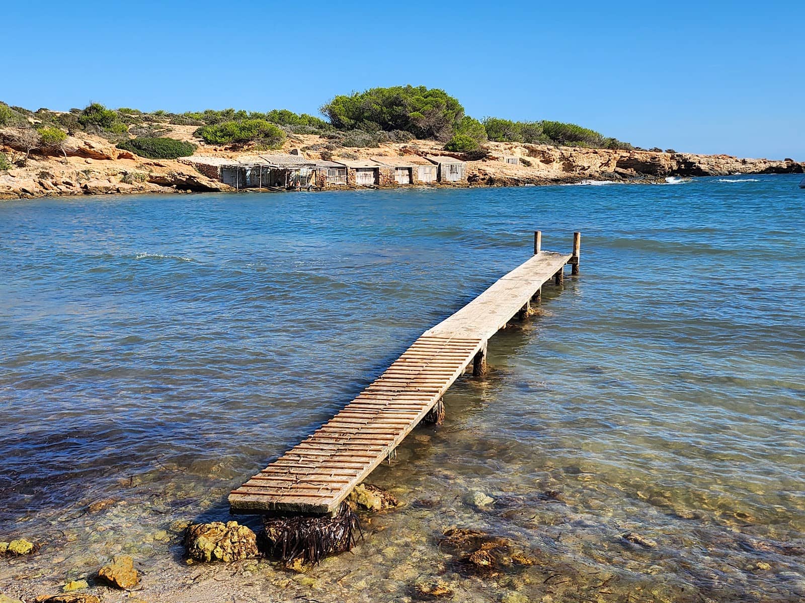 Coastal Hiking Trails