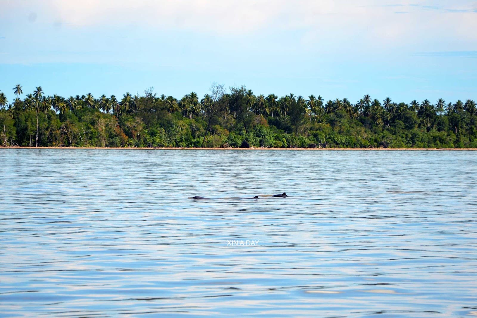 Irrawaddy Dolphin Protected Area Singu - Image 1