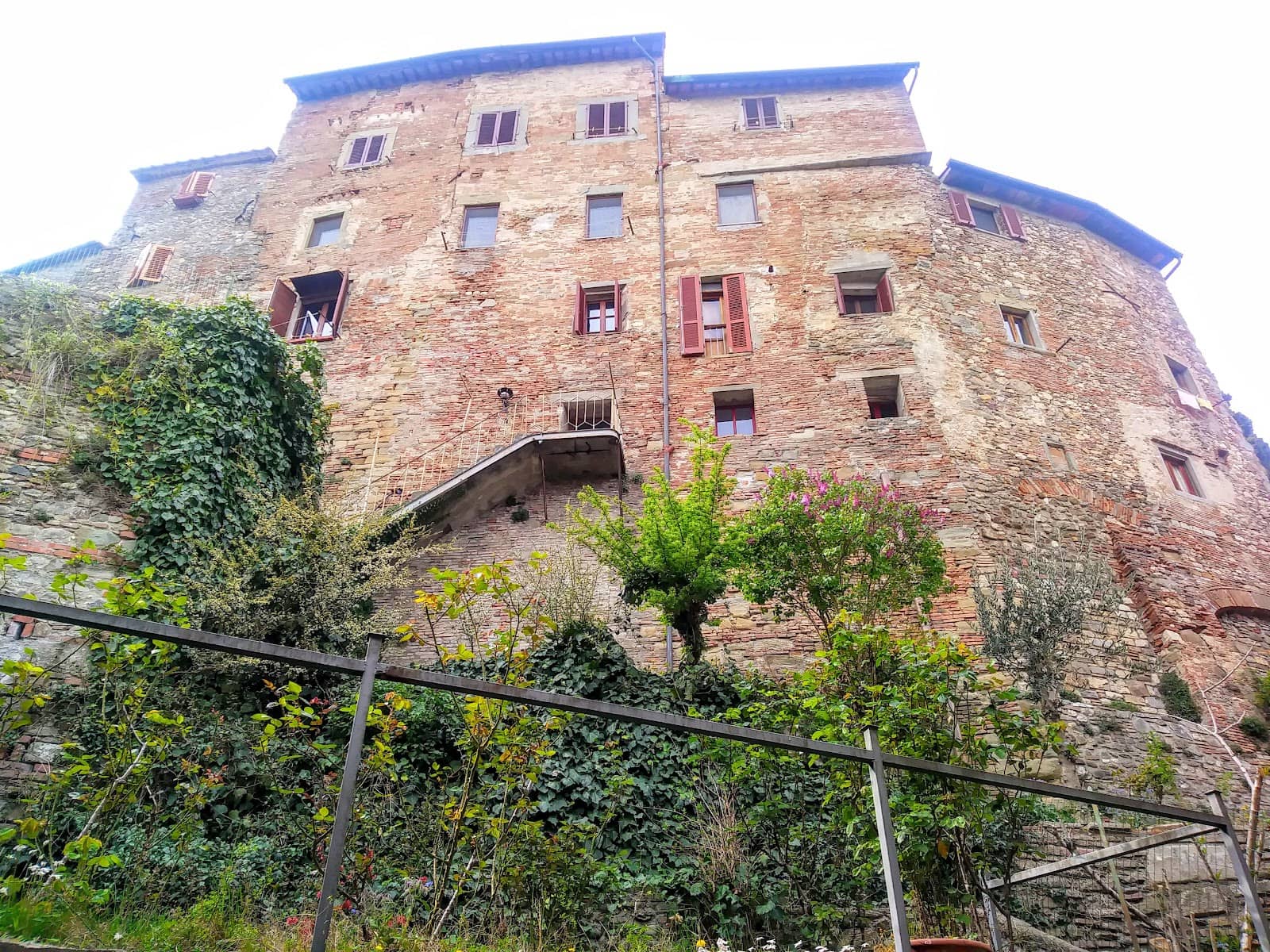 Vertical photo