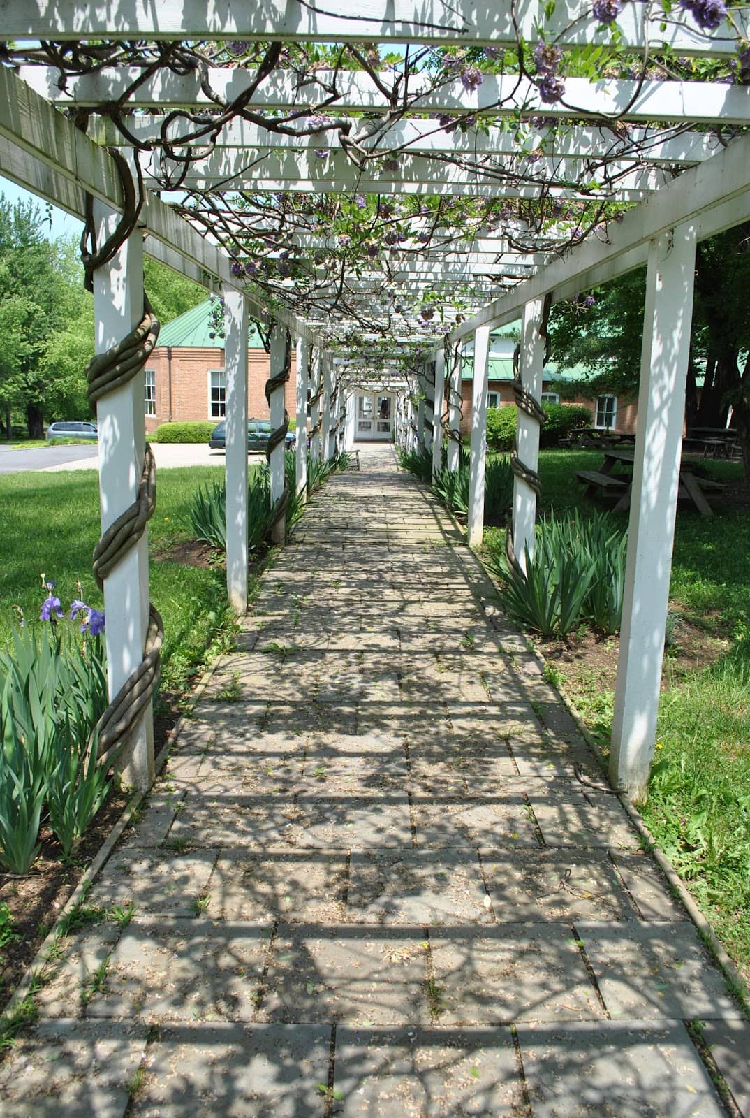 Vertical photo