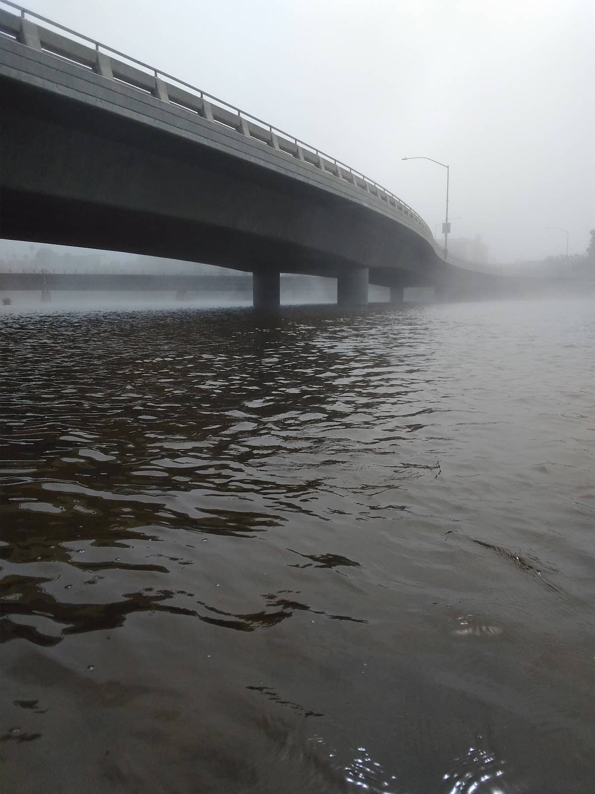 Secco - Oceanside's Premier Bar