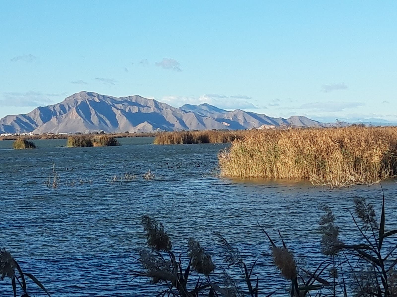 El Hondo Natural Park - Image 1