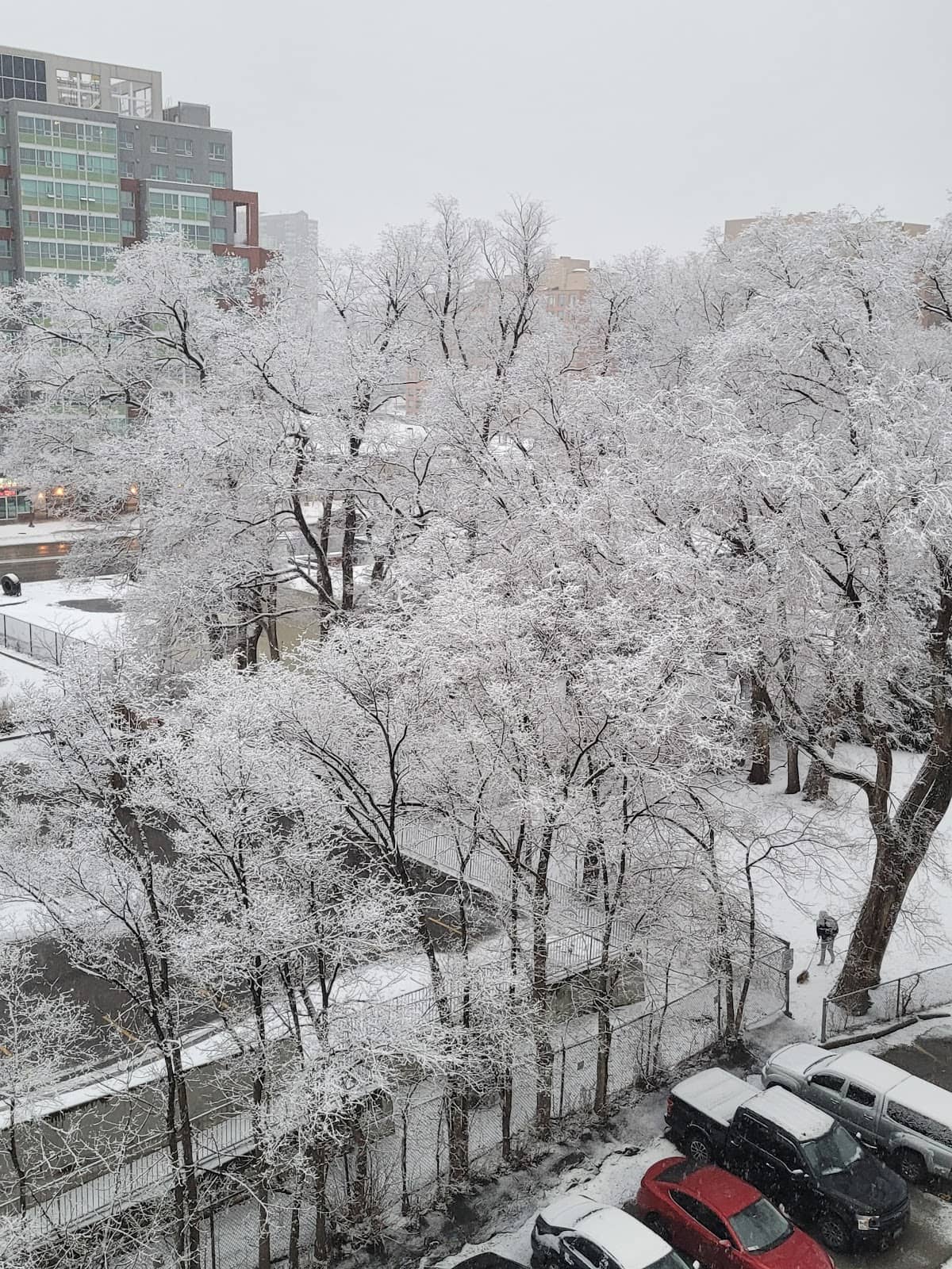 Family-Friendly Amenities