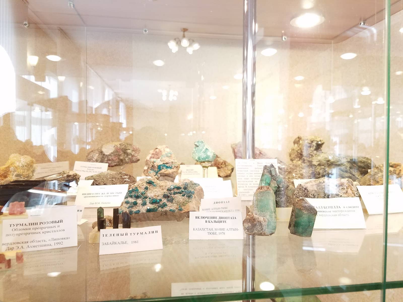 Fossil Discoveries