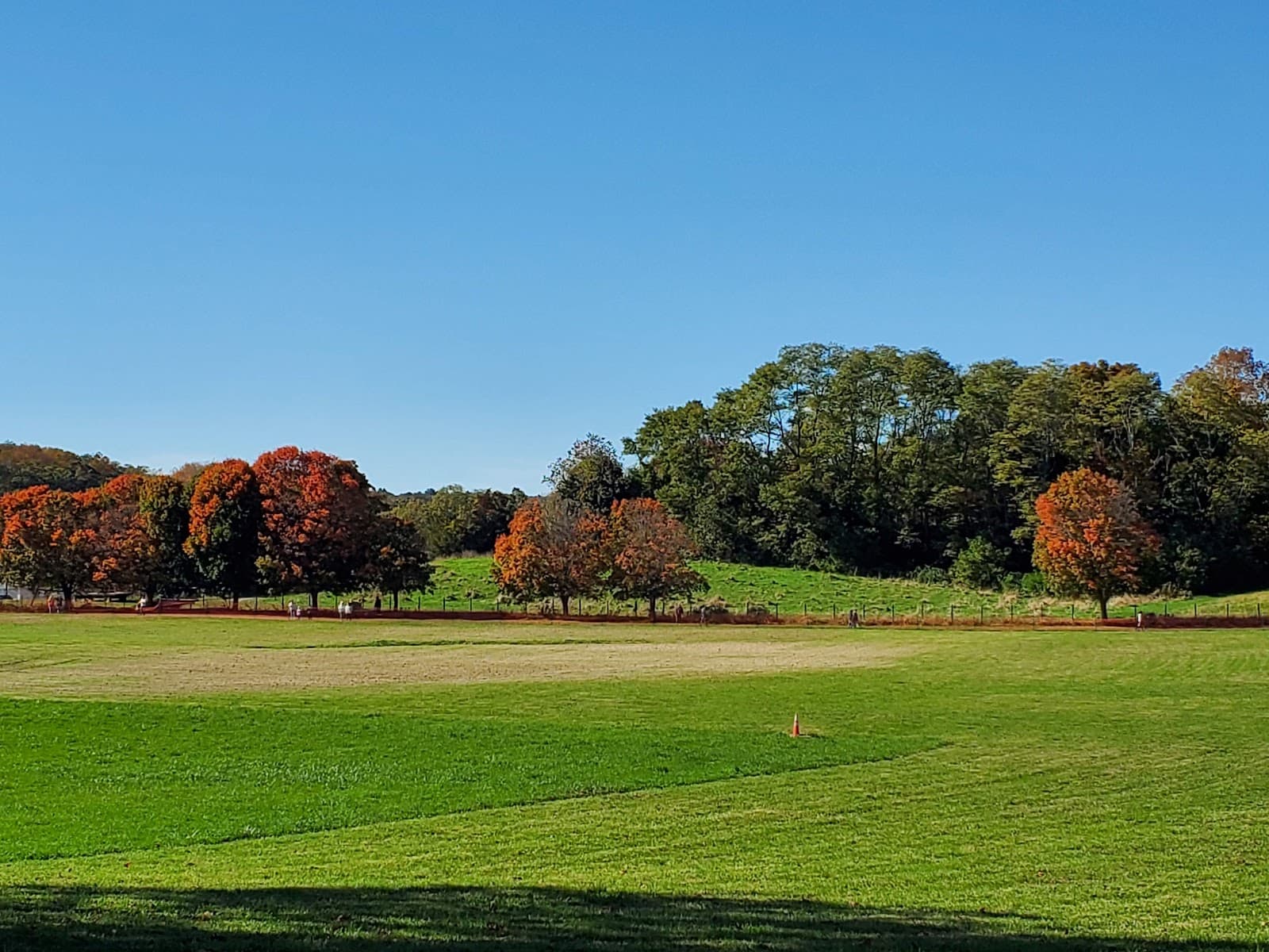 Chase Farm Park - Image 1