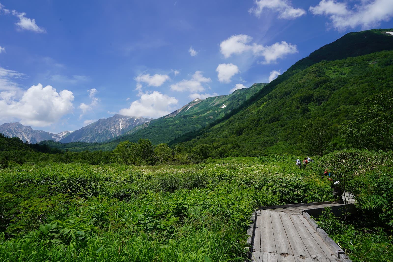 Gosensui Nature Park - Image 1