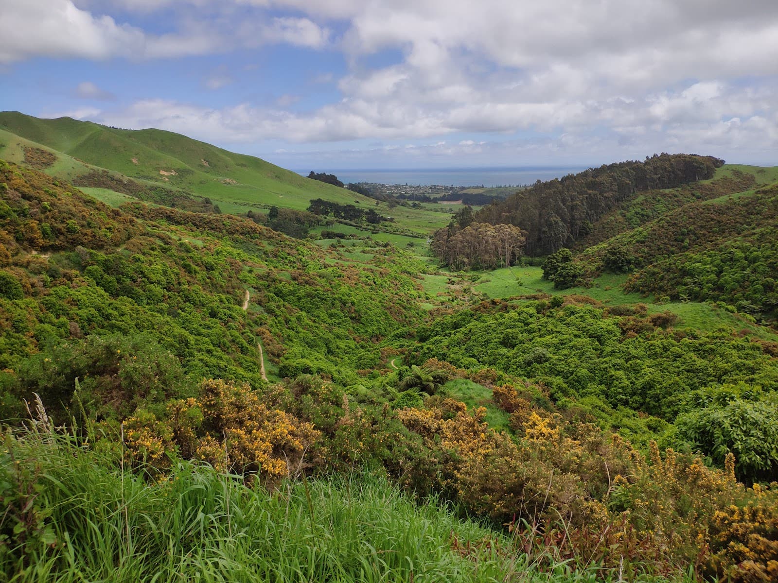Whareroa Farm - Image 1
