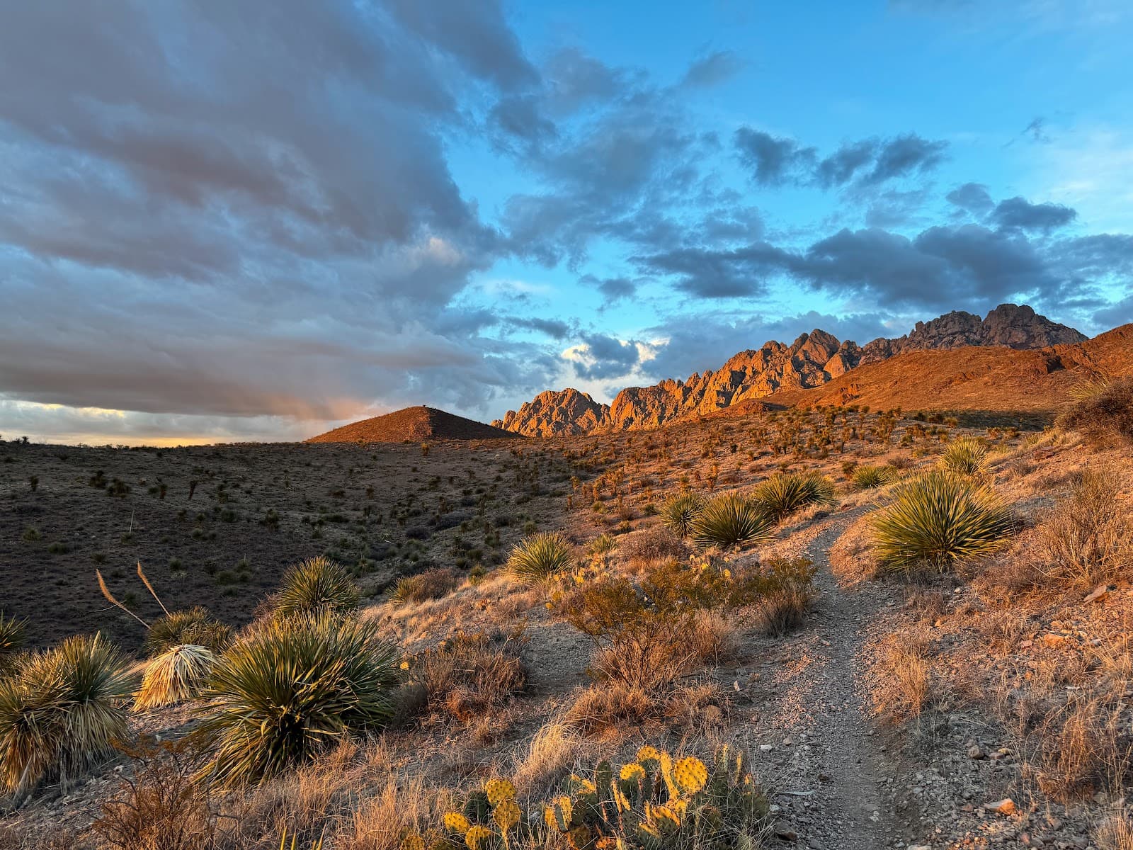 Sierra Vista Trail - Image 1
