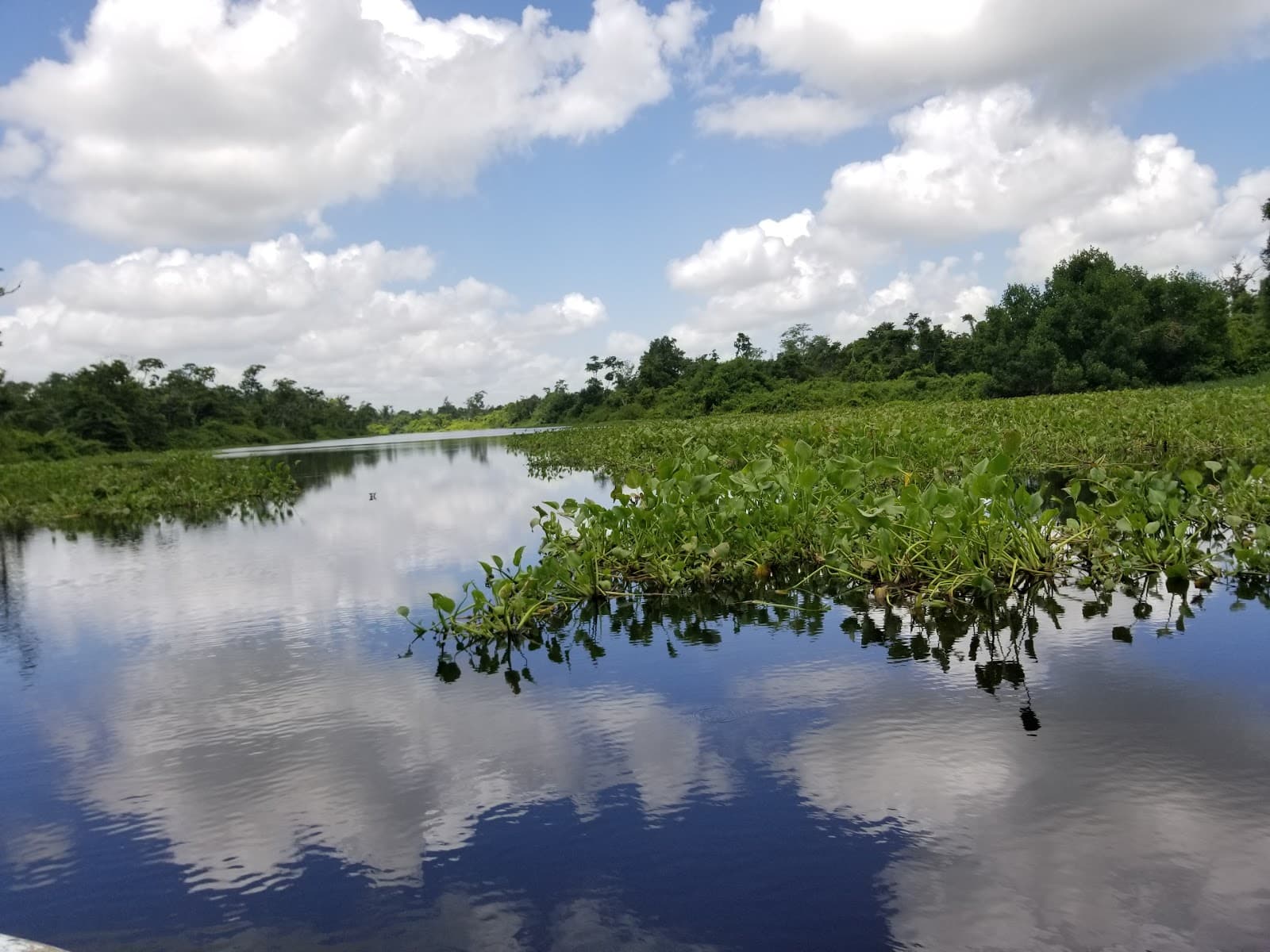Ciénagas de Juan Manuel National Park (Catatumbo) - Image 1