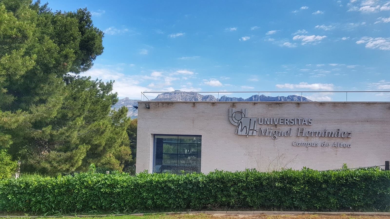 UMH Fine Arts Campus Altea - Image 1