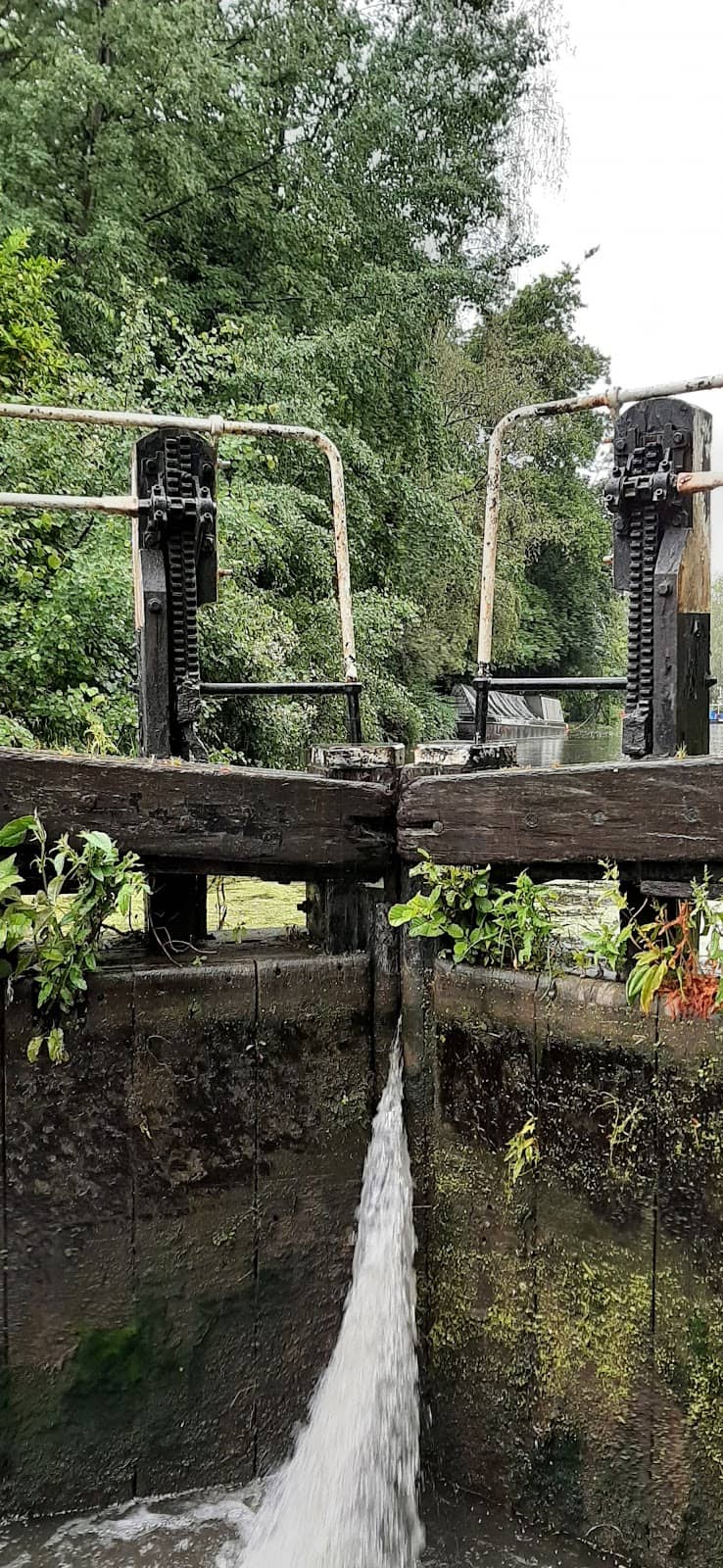 Waterside Relaxation