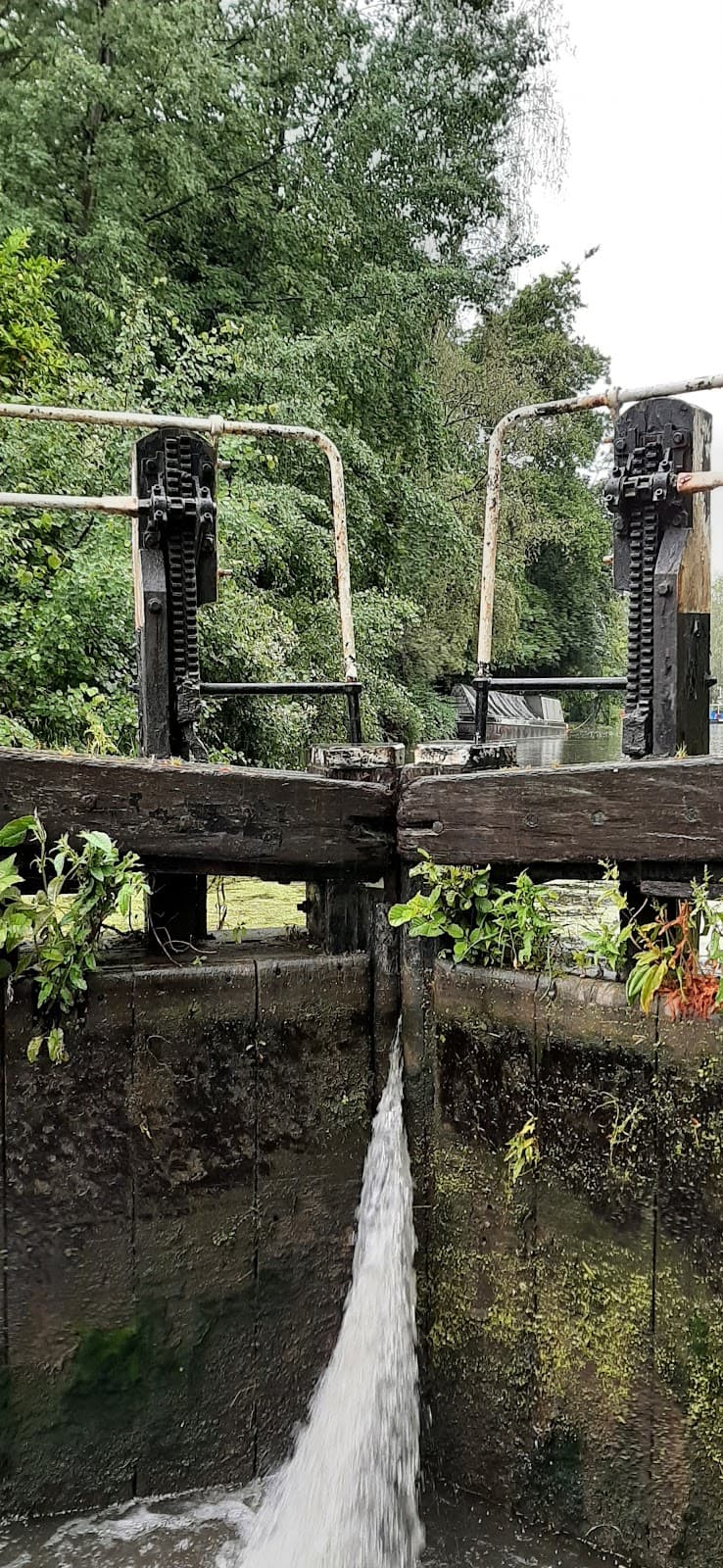 Grand Union Canal (Cassiobury) - Image 1