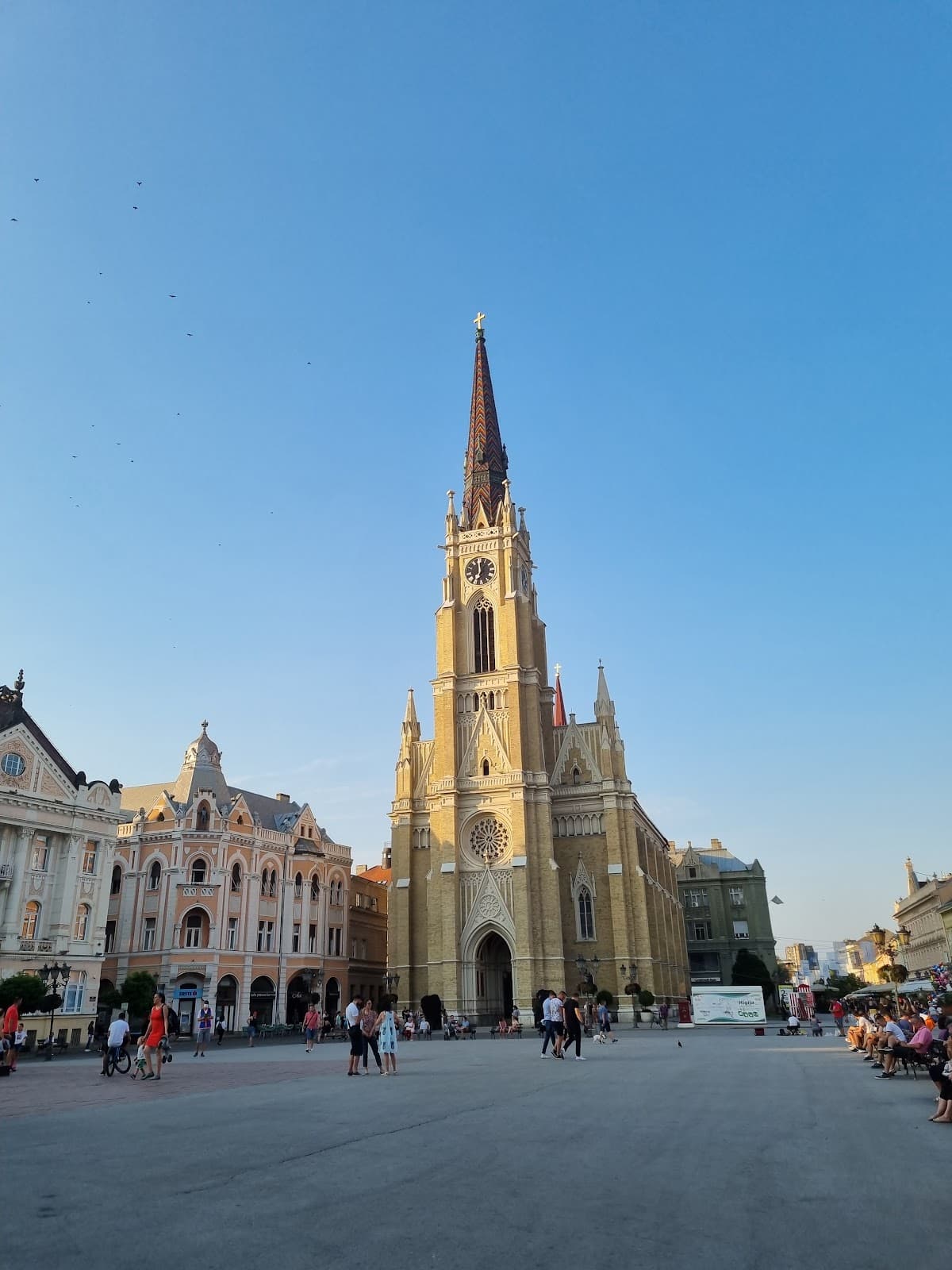 Rotkvarija - Image 1