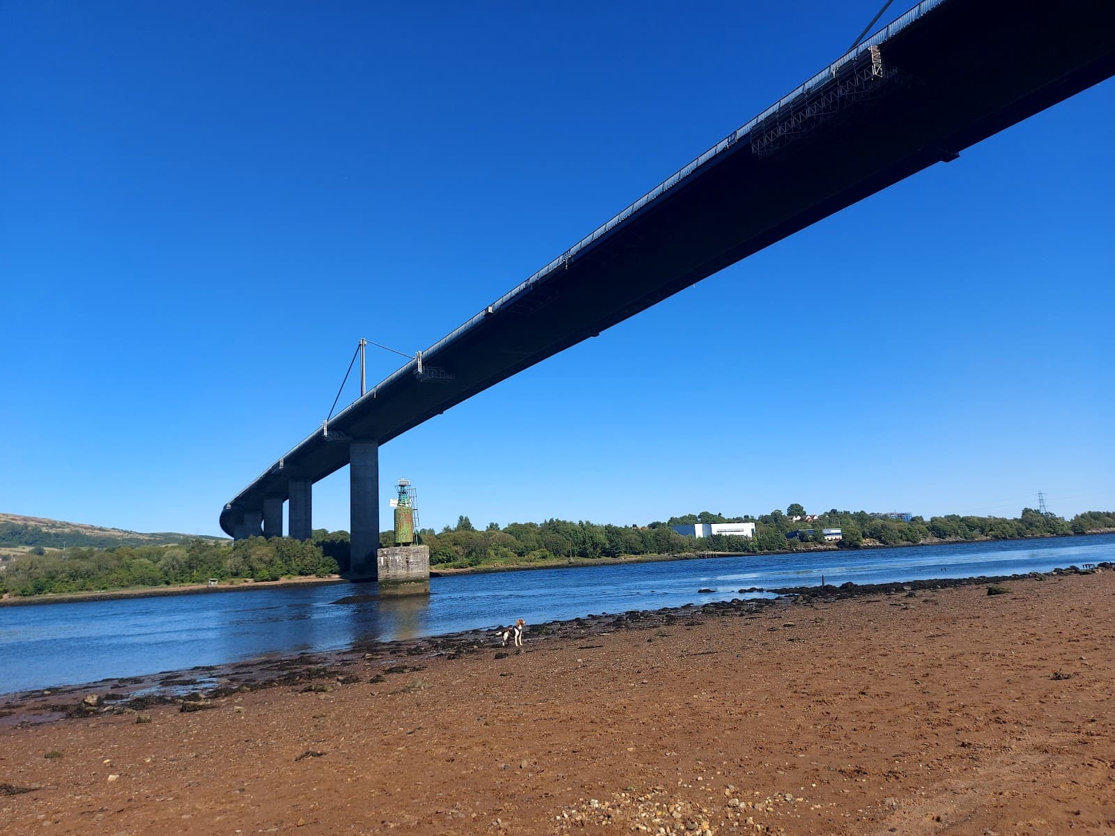 Erskine Bridge - Image 1