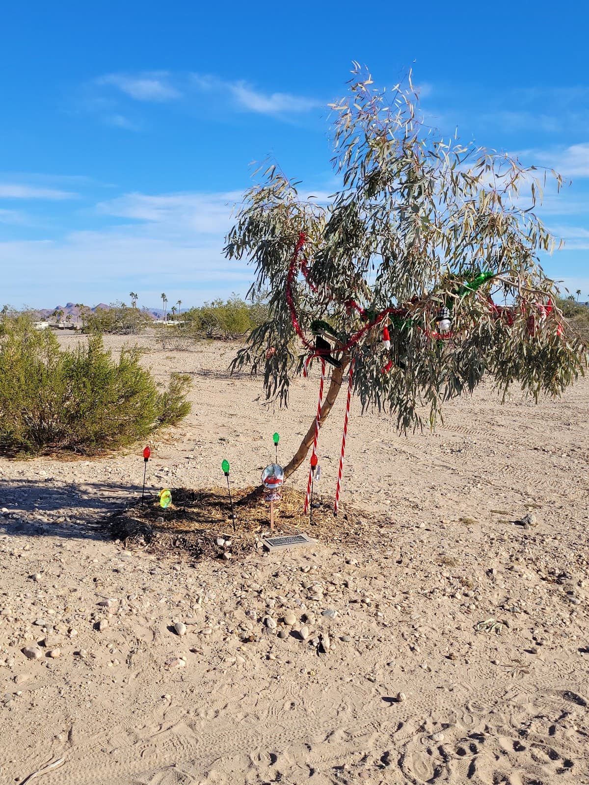 Island Trail Lake Havasu - Image 1