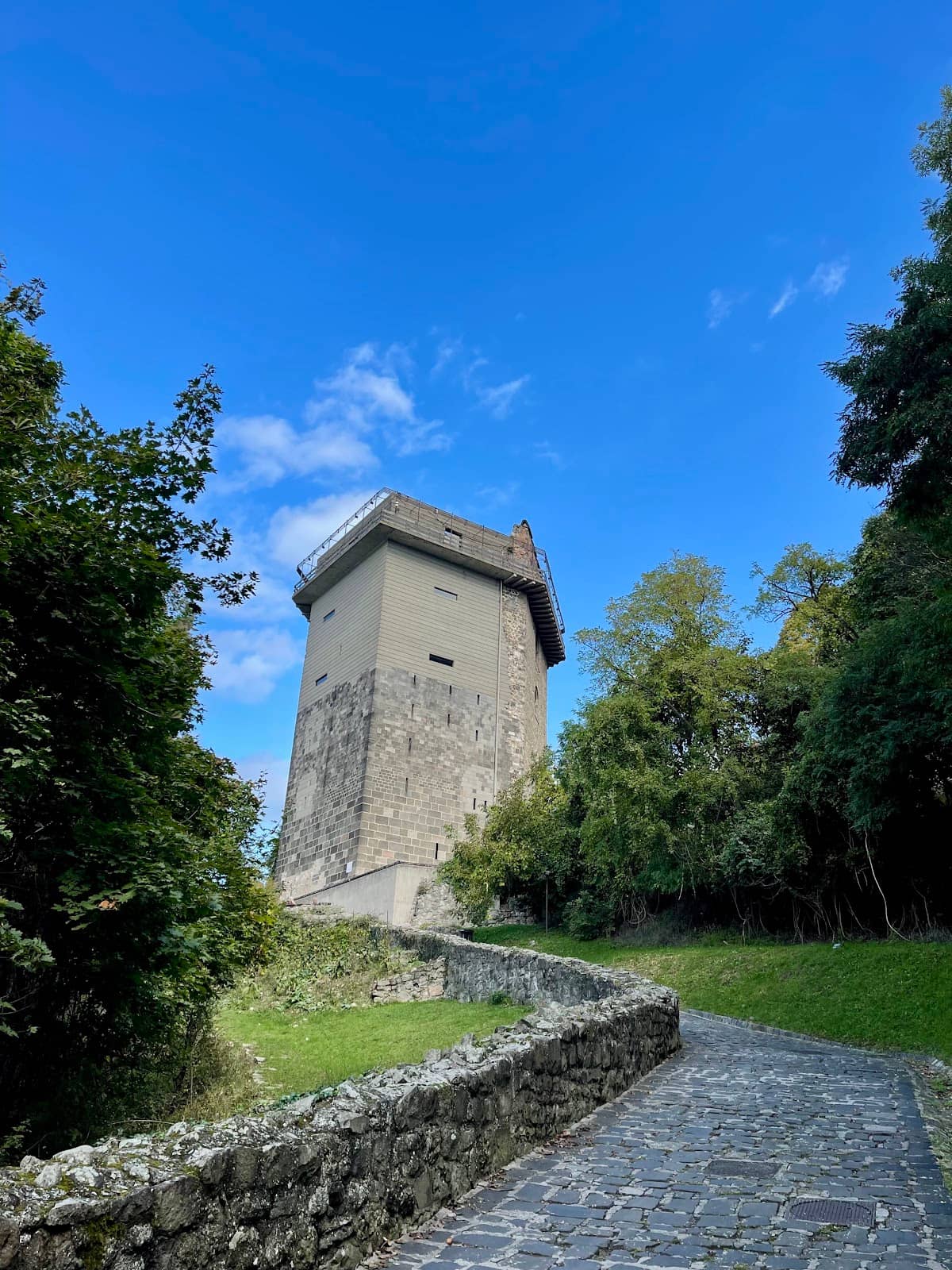 Vertical photo