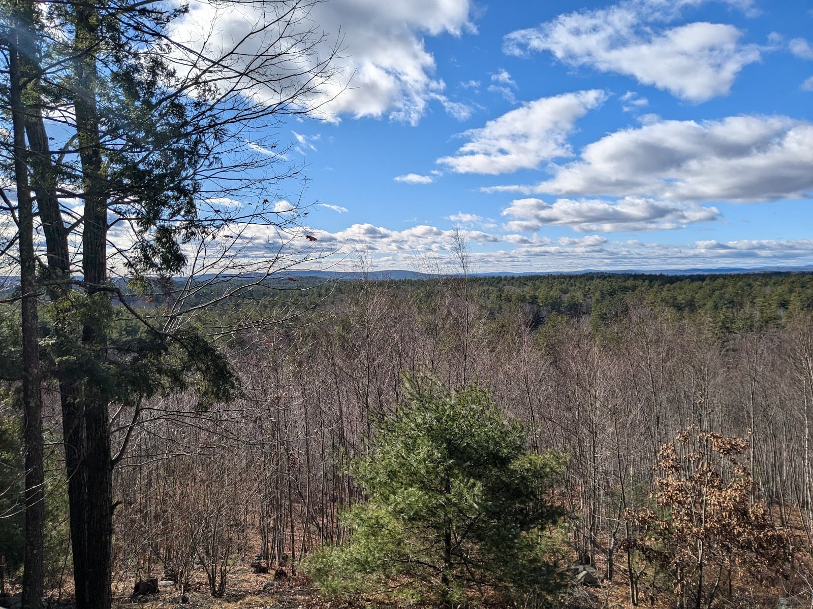 Grater Woods Conservation Area - Image 1