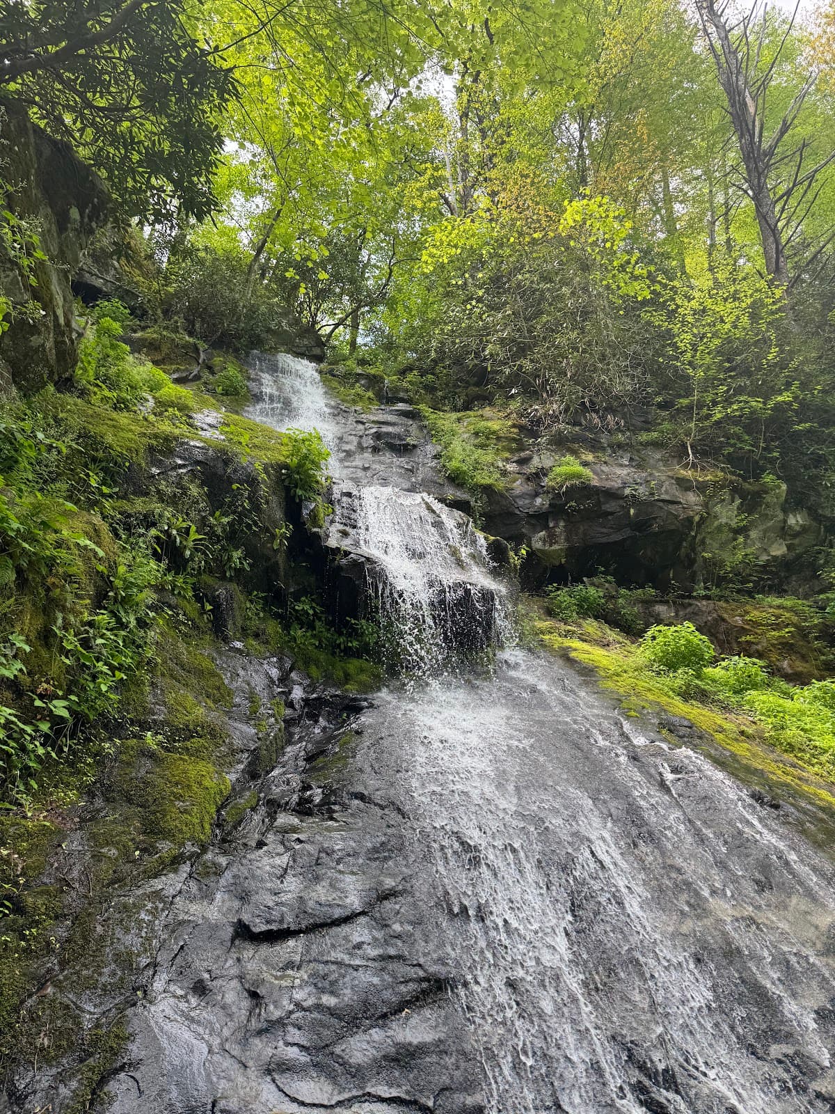 Hen Wallow Falls - Image 1