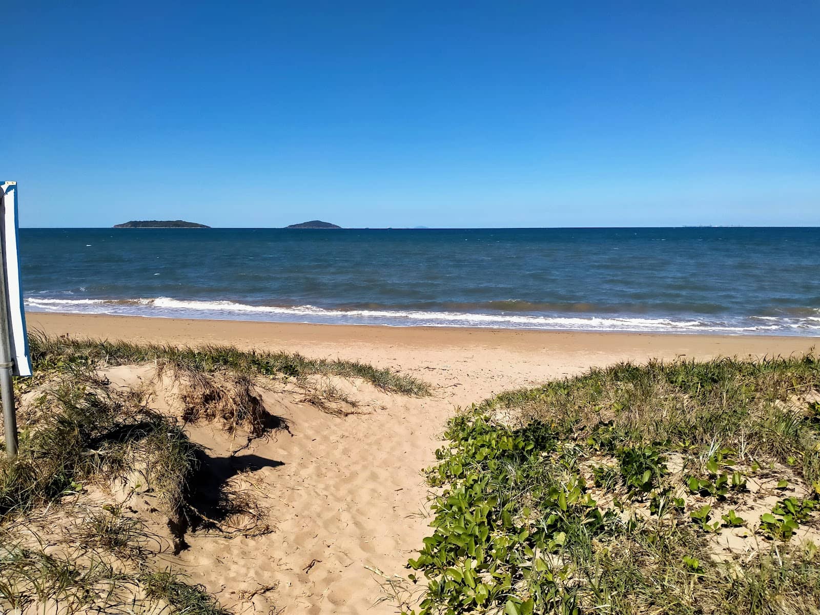 Dog-Friendly Walking Paths