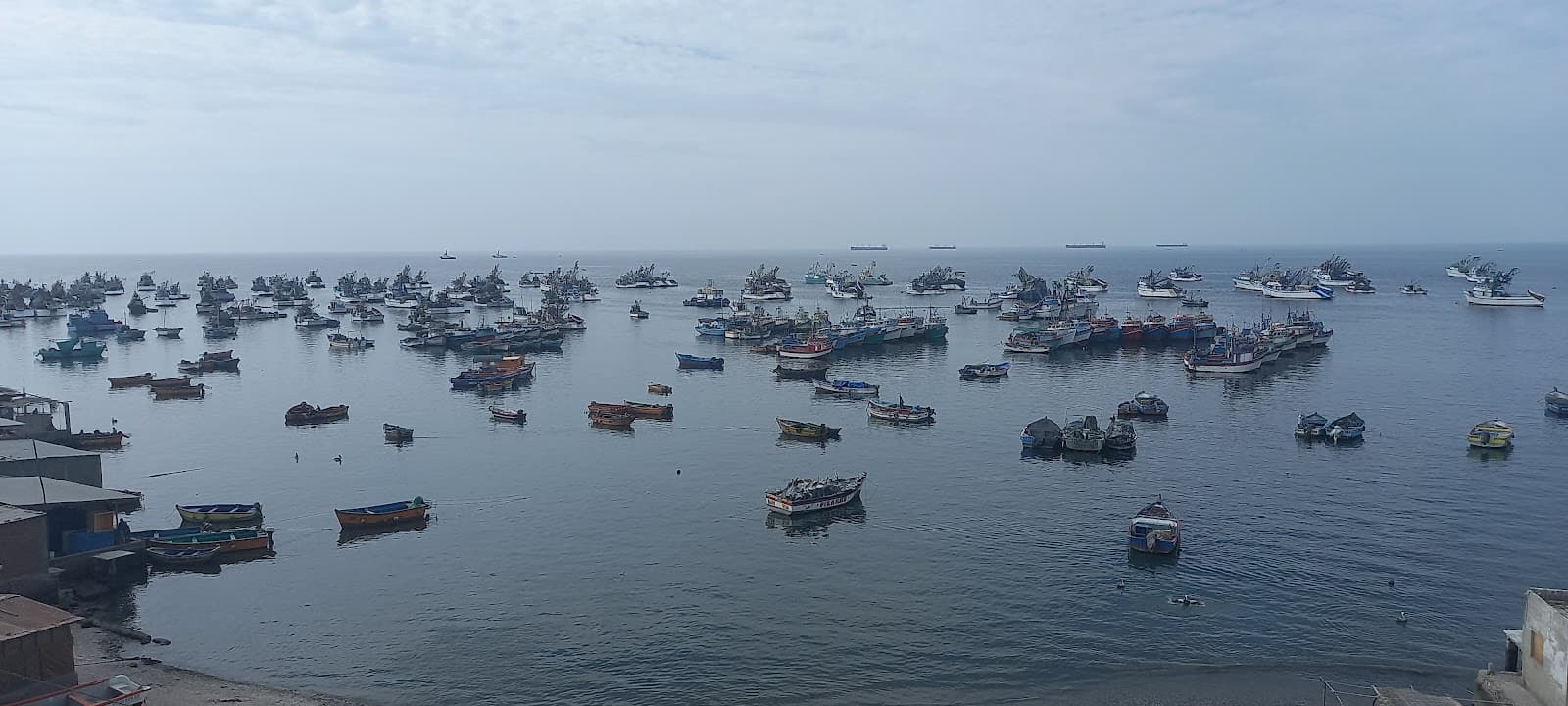Sechura Bay (Bayóvar) - Image 1