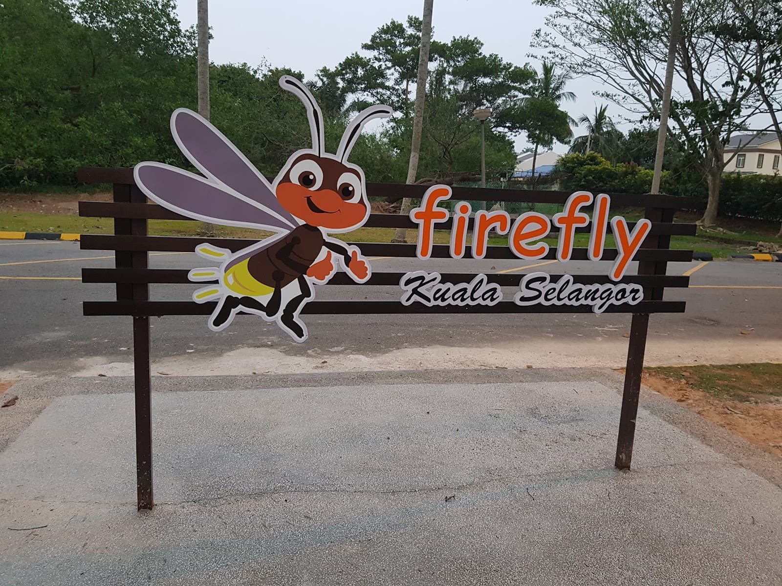 Kuala Selangor Fireflies (Kampung Kuantan) - Image 1