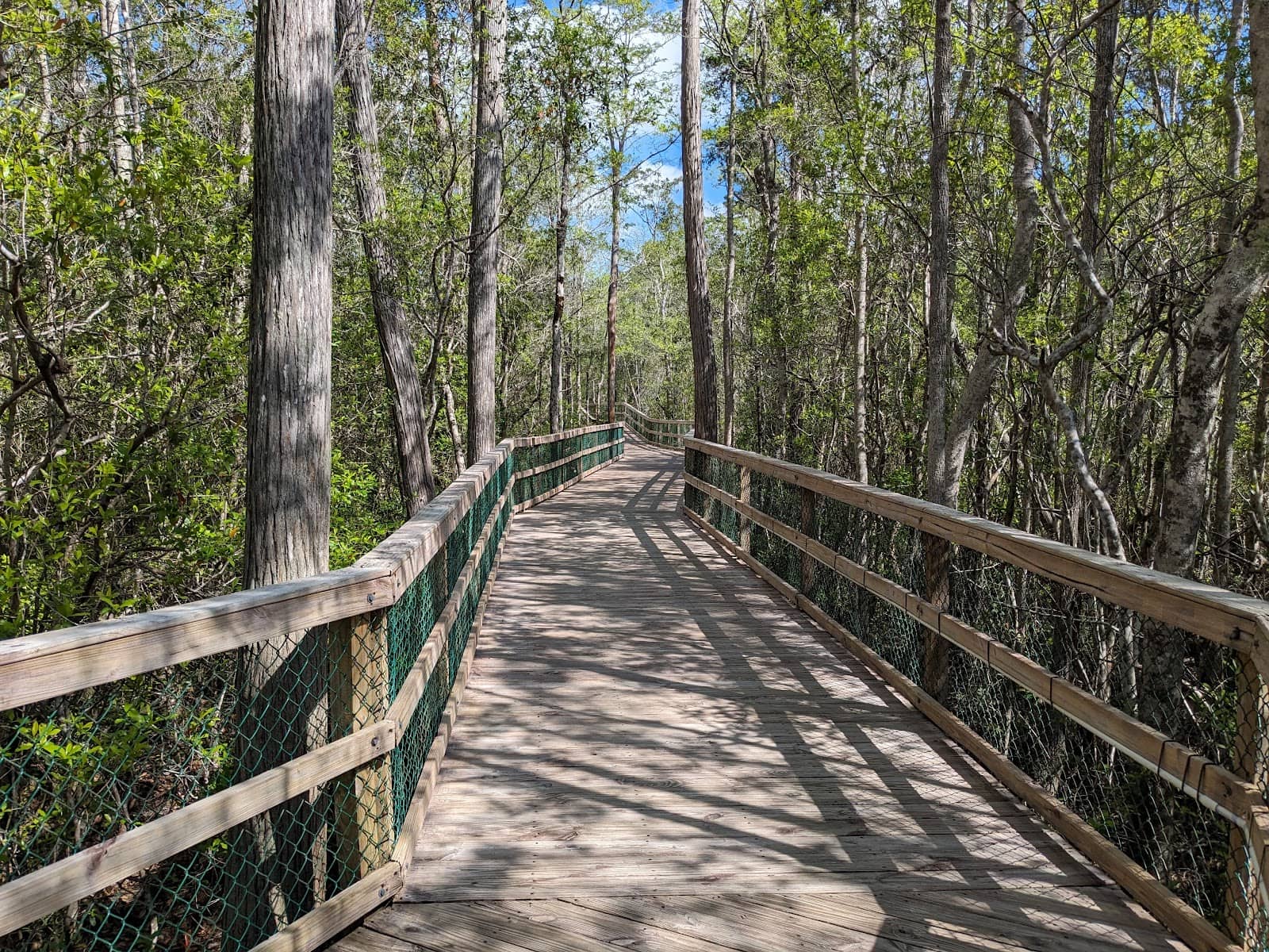 Wildlife Viewing Platforms