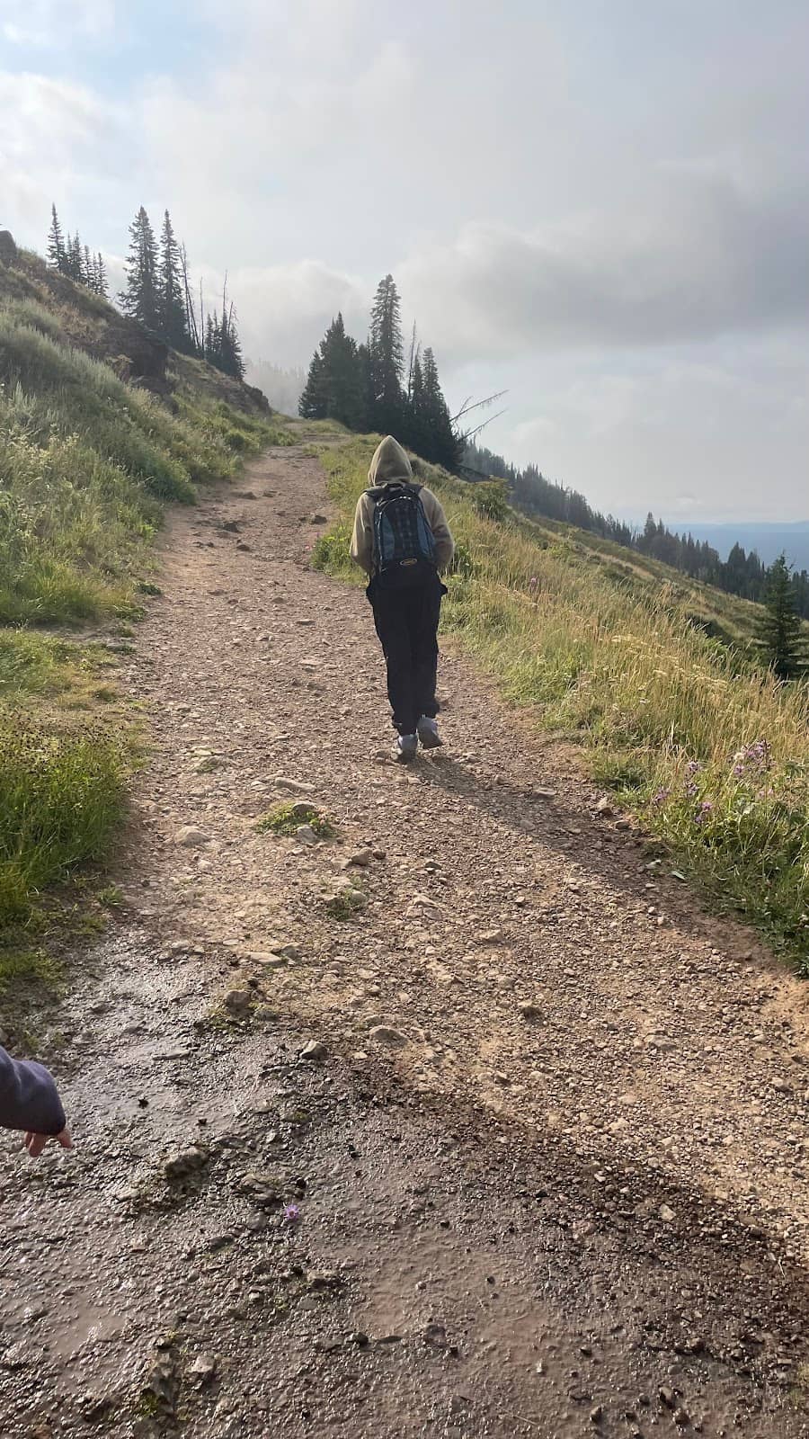 Abundant Wildlife Sightings